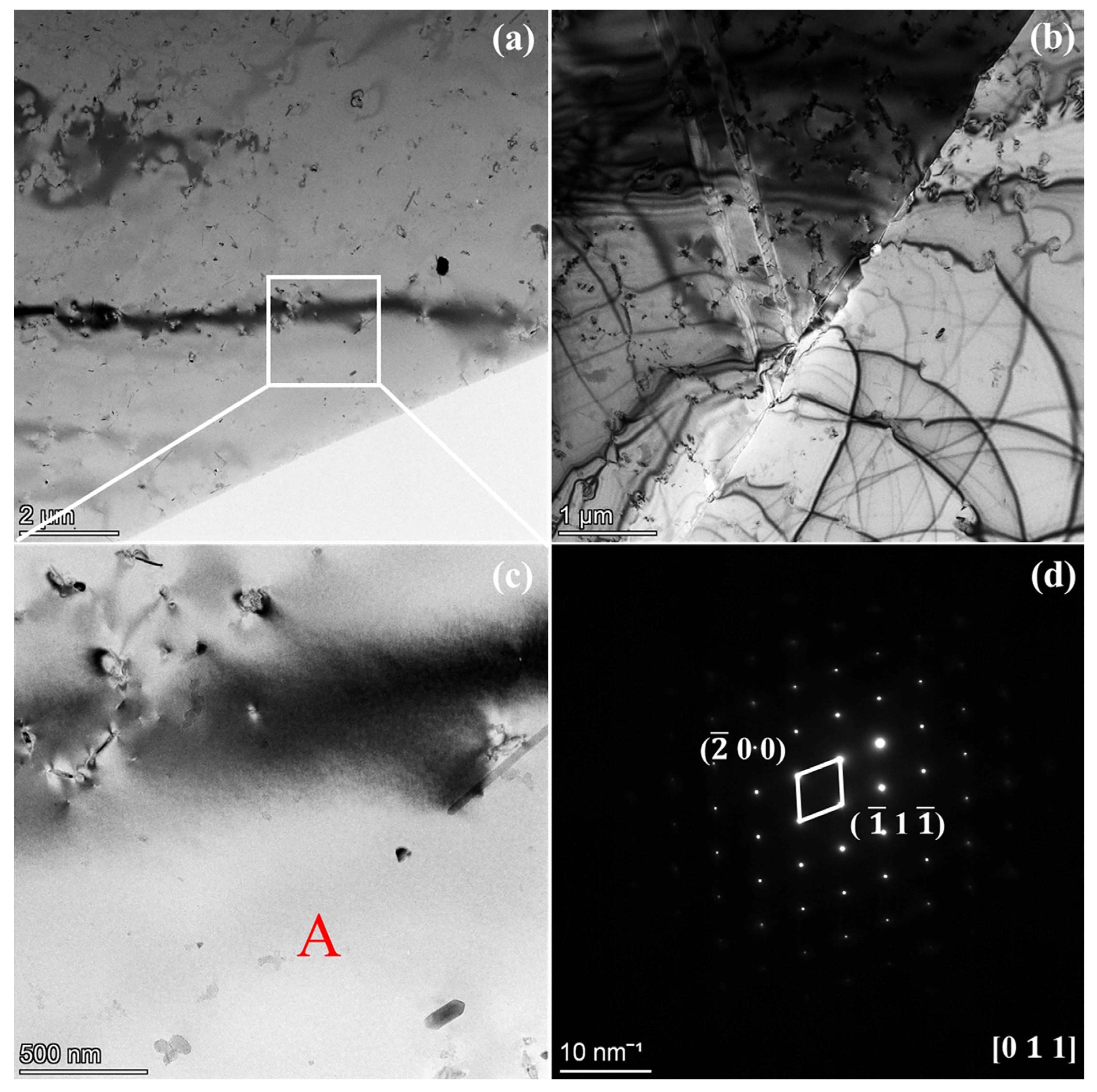 Nanomaterials 15 00413 g003