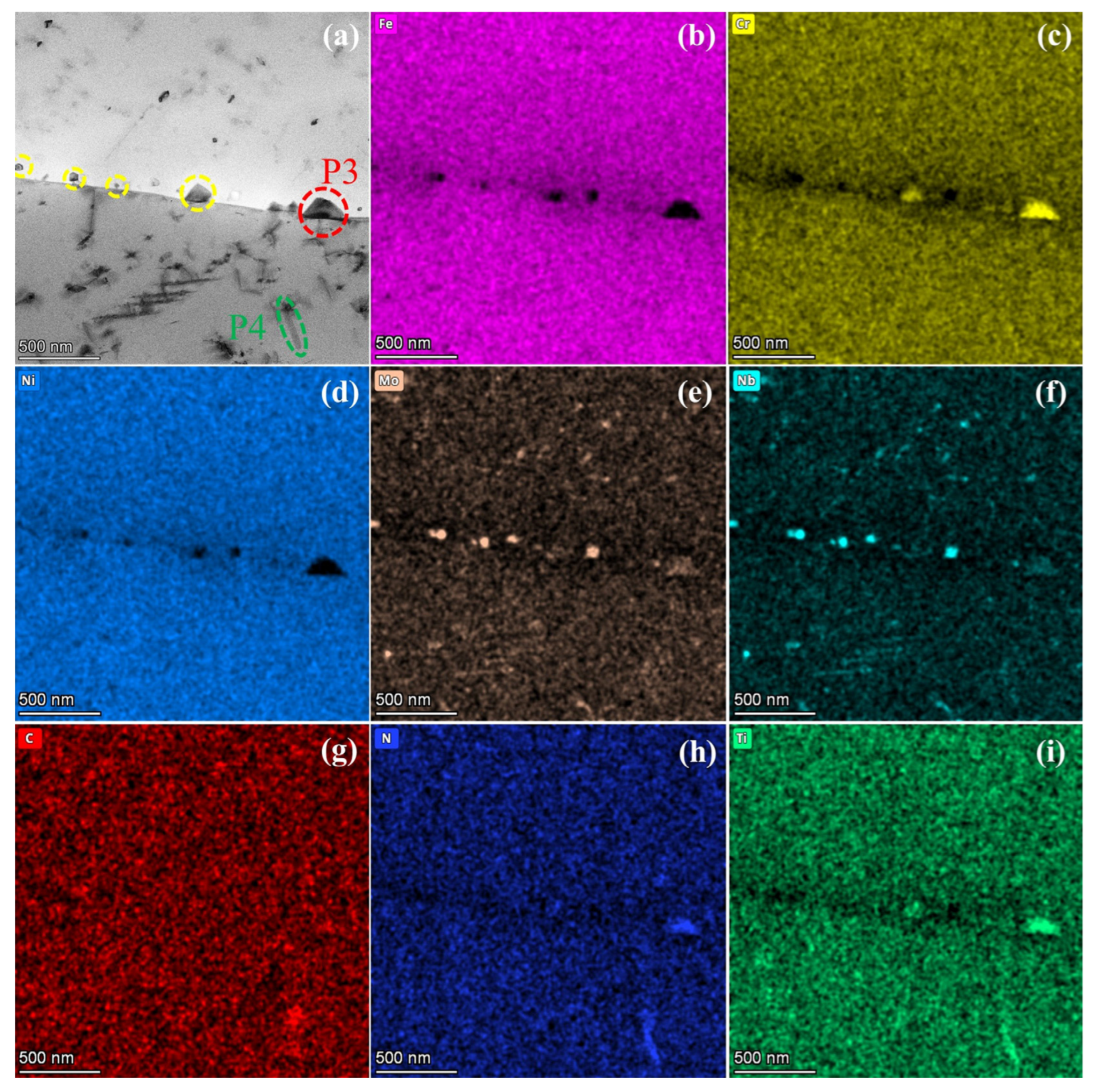 Nanomaterials 15 00413 g005