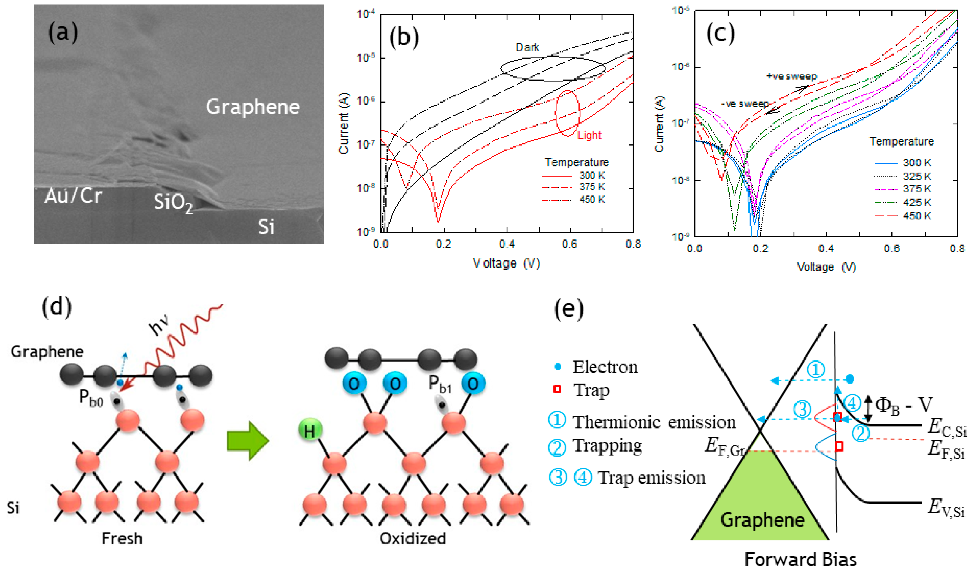 Nanomaterials 15 00416 g002