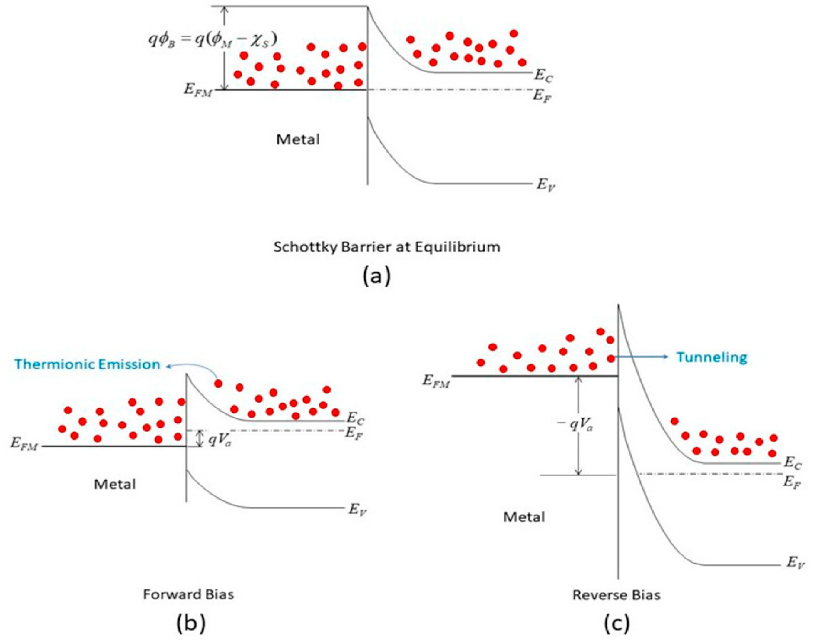 Nanomaterials 15 00416 g004