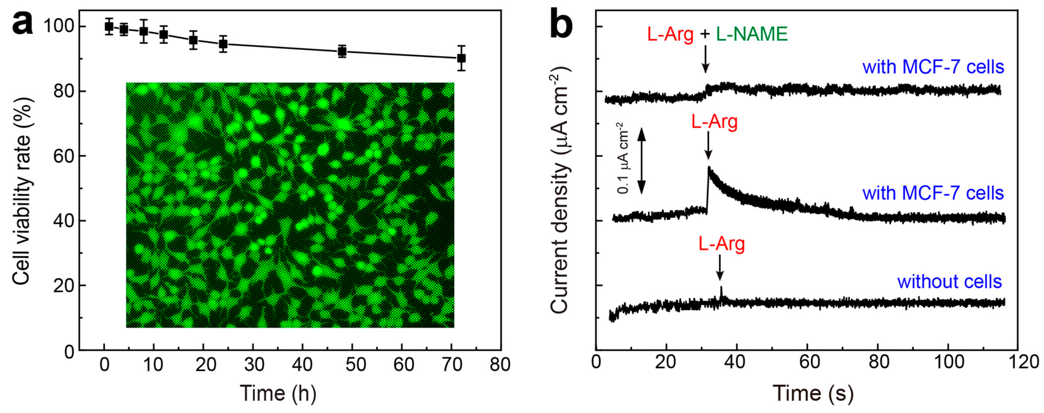 Nanomaterials 15 00417 g005