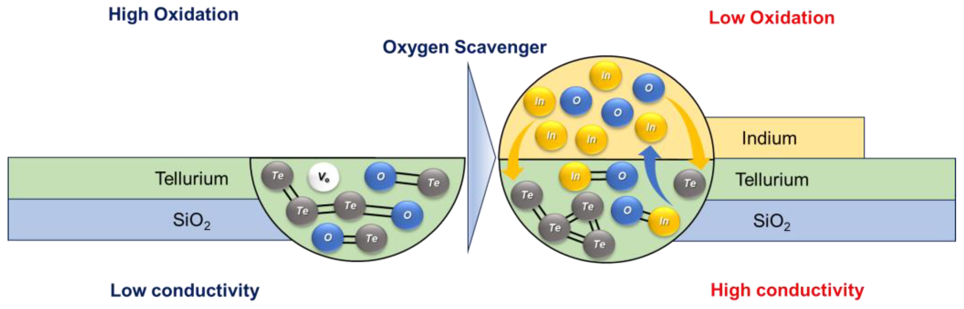 Nanomaterials 15 00418 g005