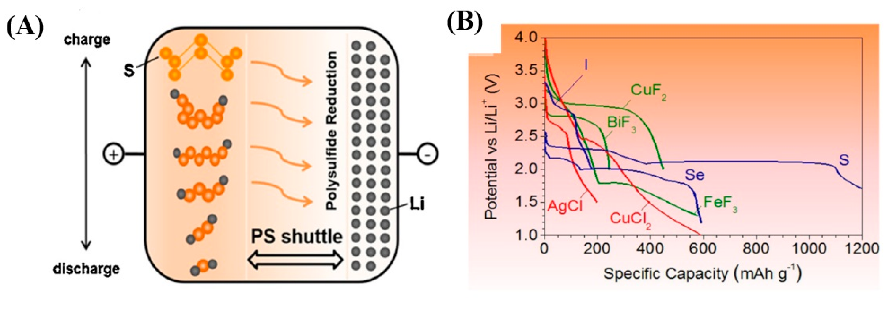 Nanomaterials 15 00420 g008
