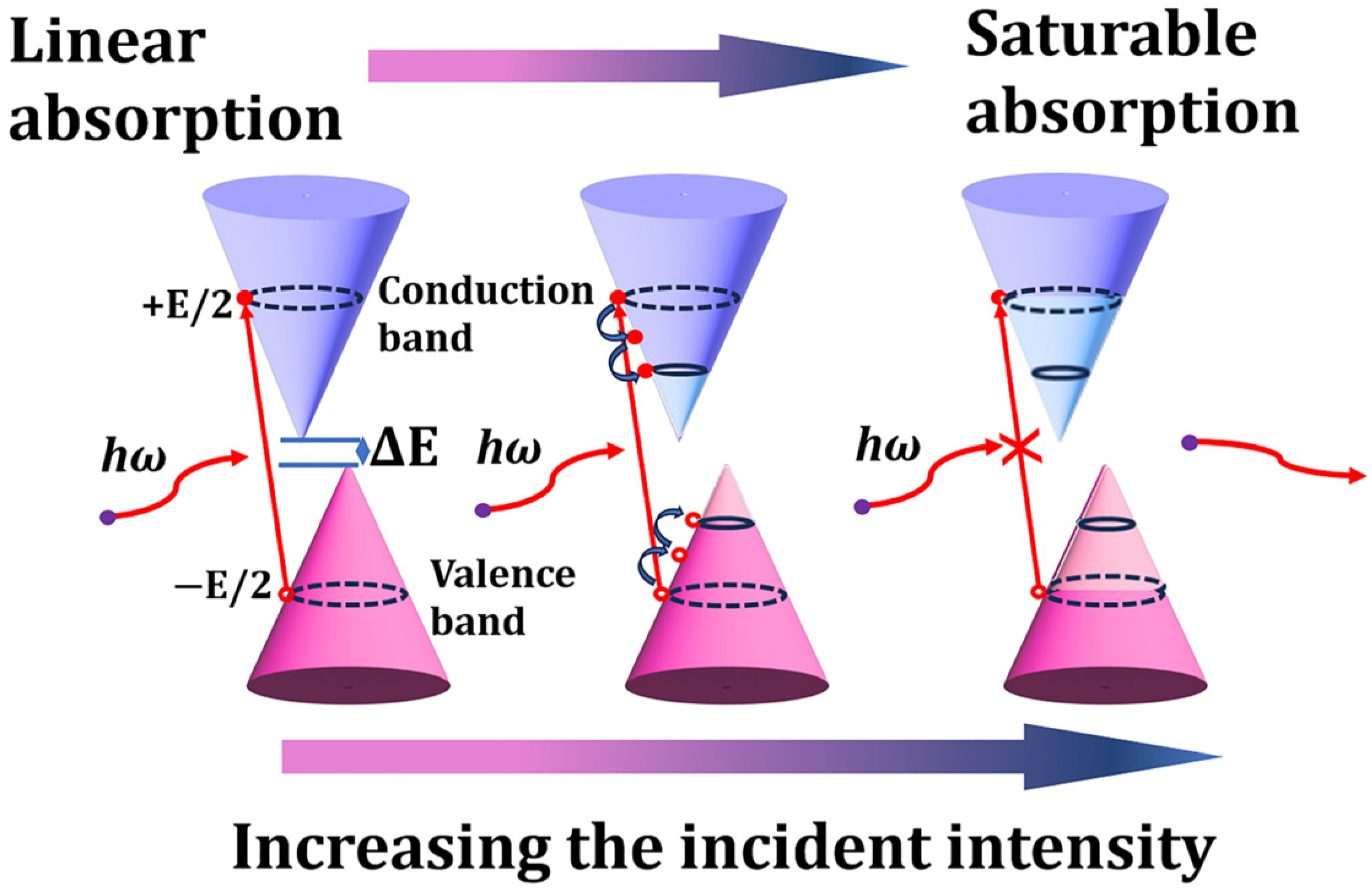 Nanomaterials 15 00424 g0a2