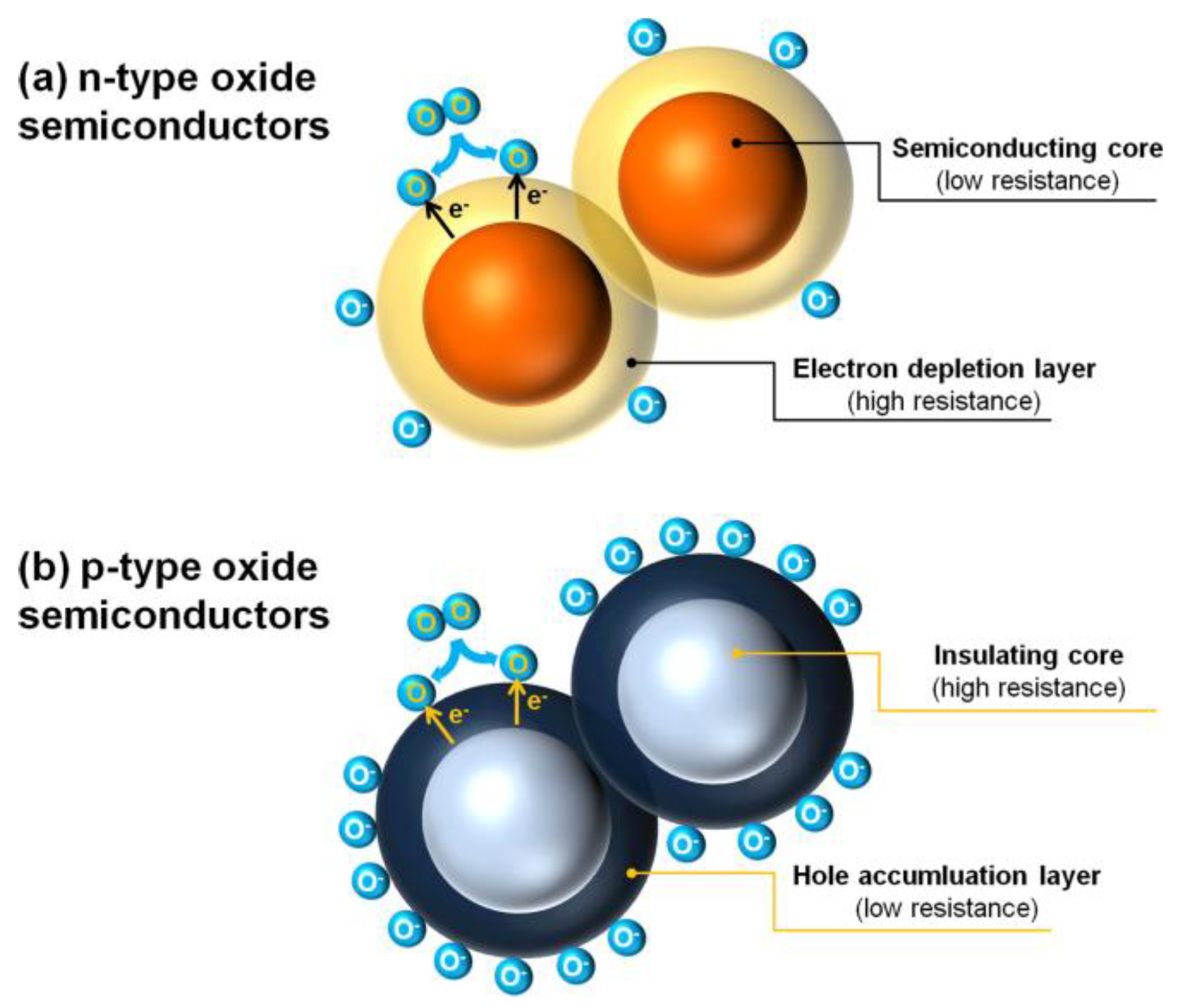 Nanomaterials 15 00427 g001