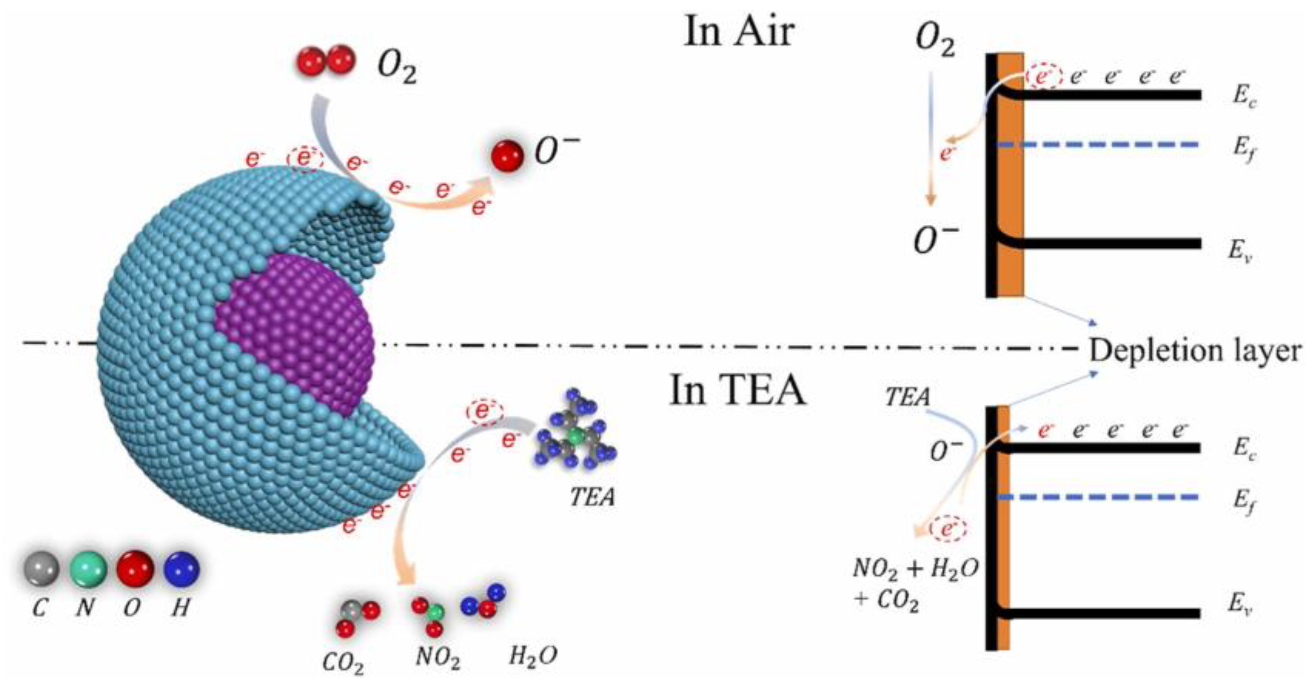 Nanomaterials 15 00427 g006