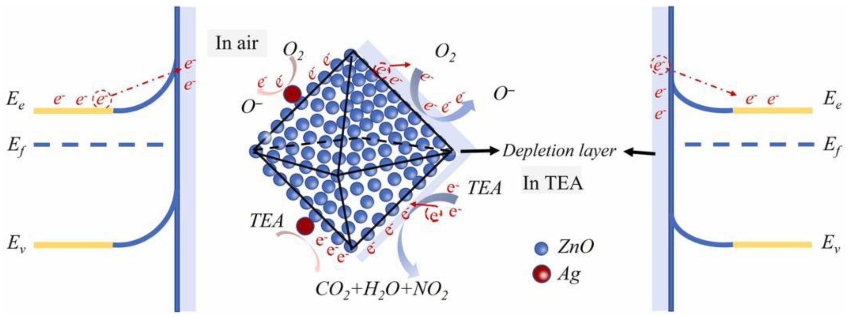 Nanomaterials 15 00427 g008