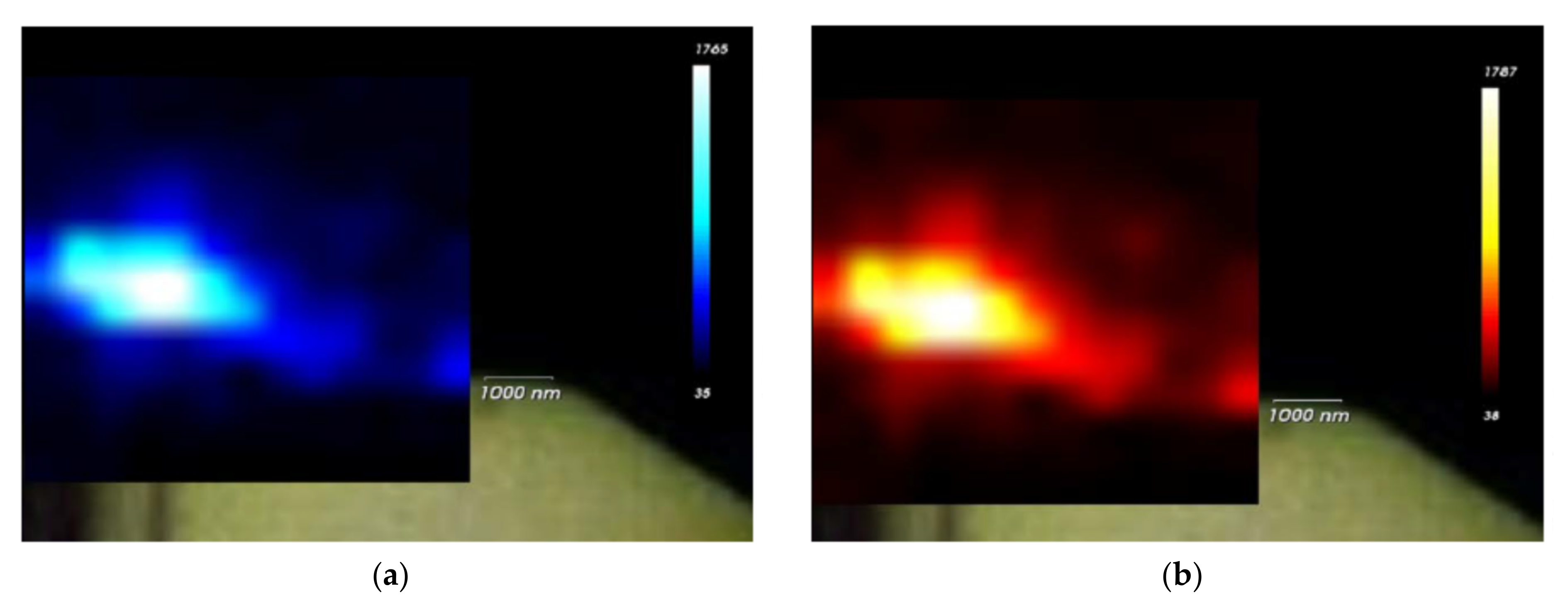 Nanomaterials 15 00430 g004