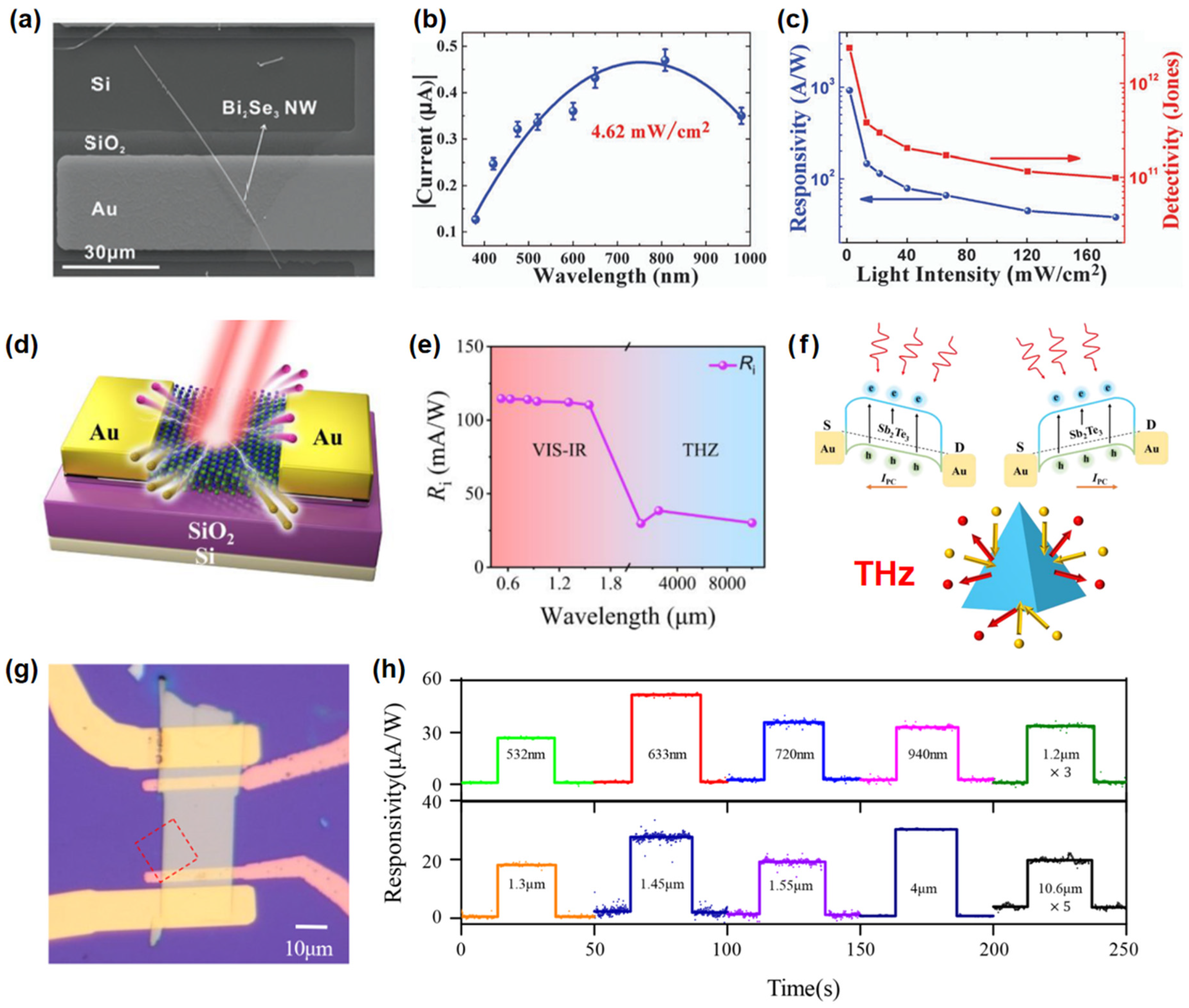 Nanomaterials 15 00431 g004