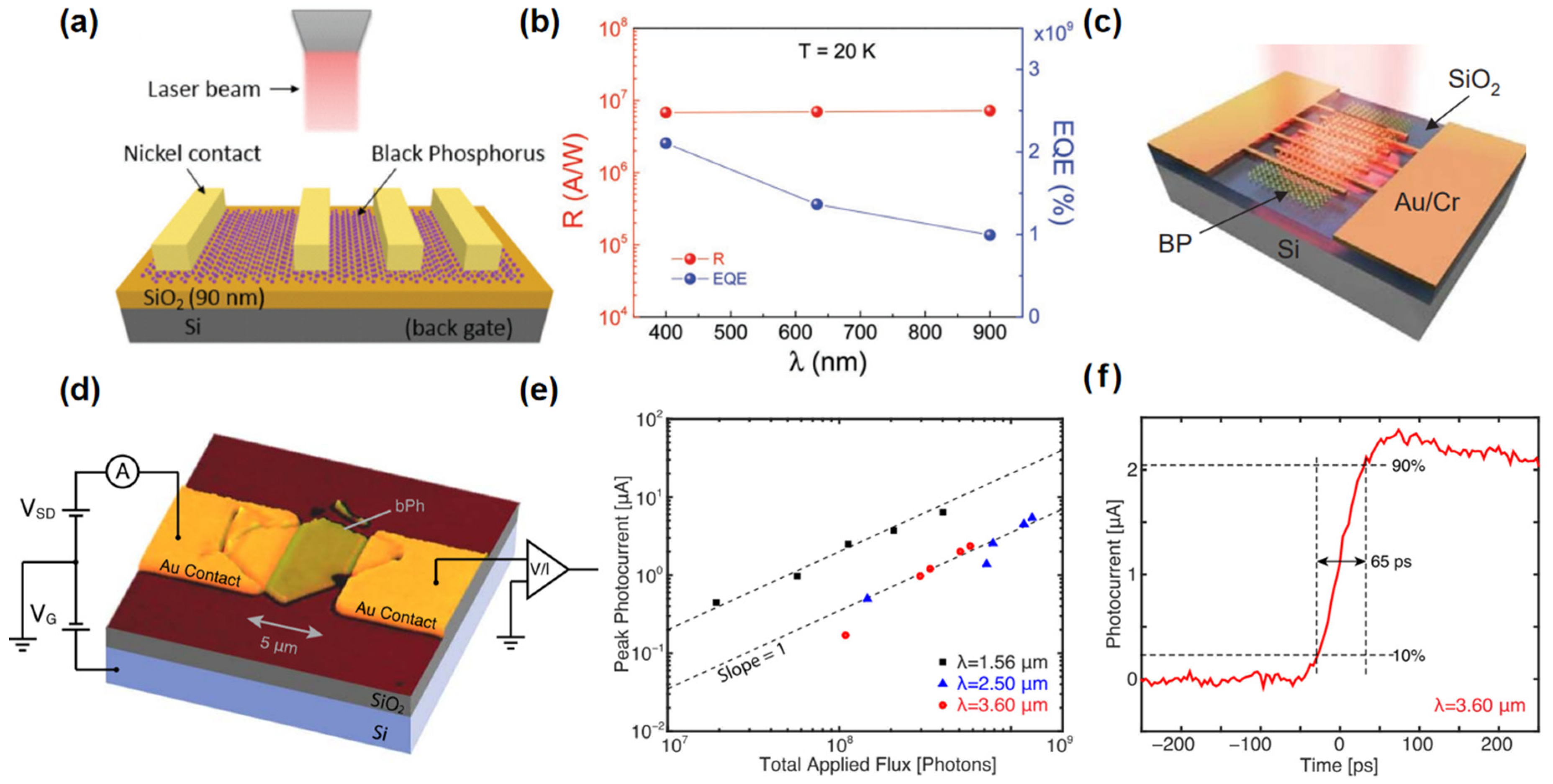 Nanomaterials 15 00431 g005