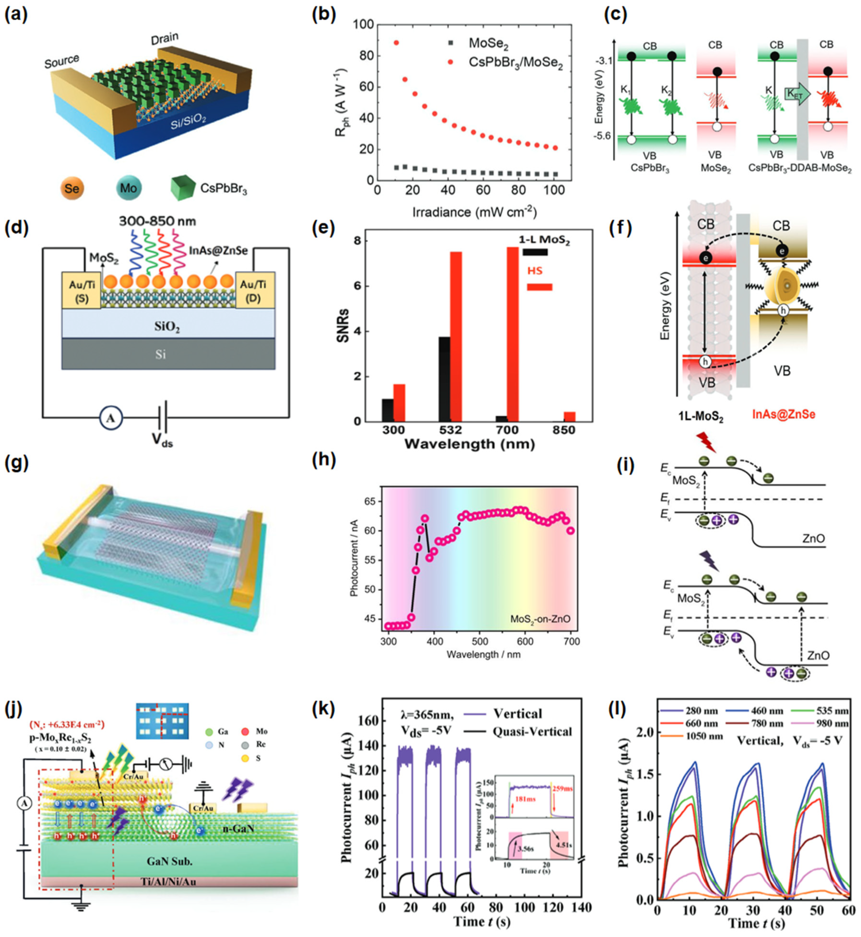 Nanomaterials 15 00431 g010