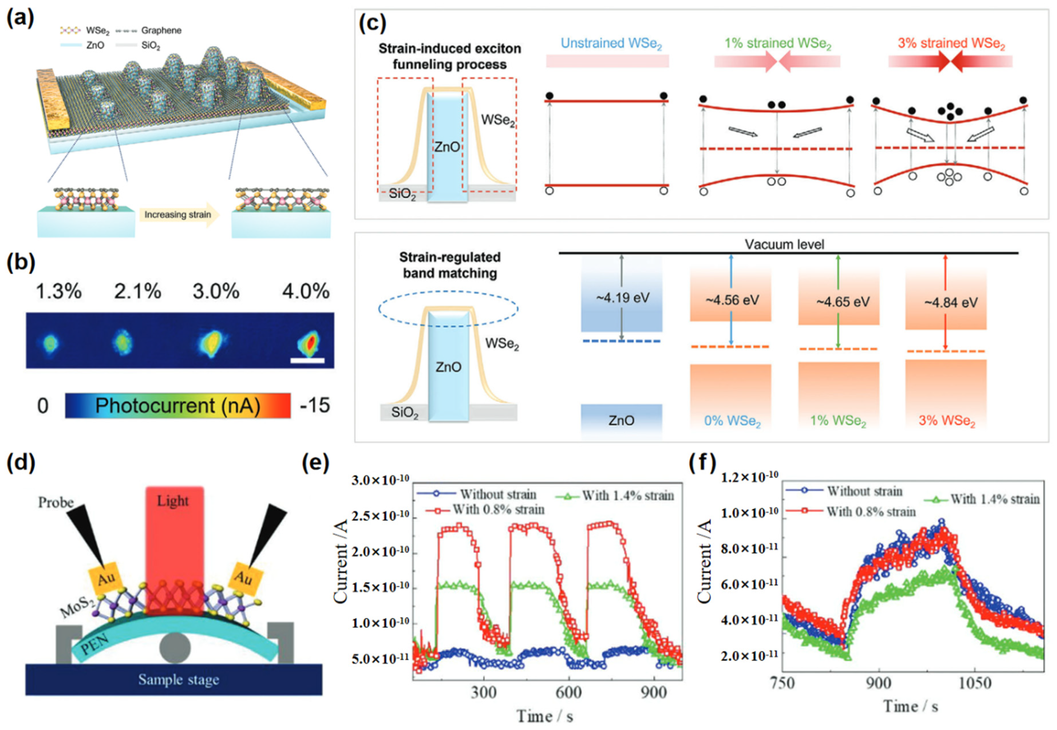 Nanomaterials 15 00431 g013