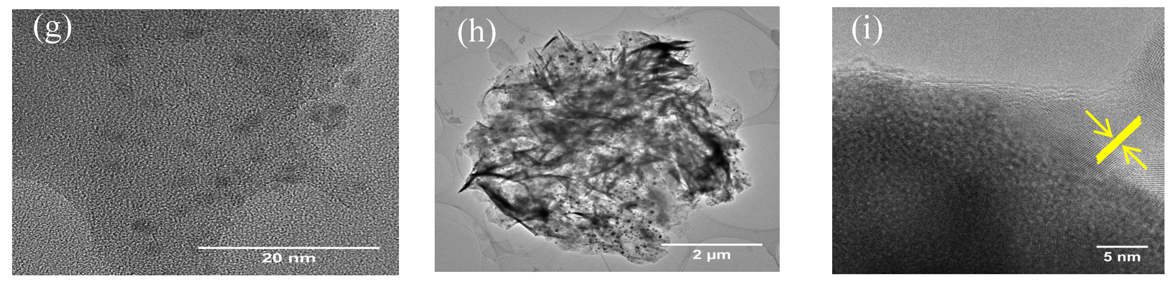 Nanomaterials 15 00432 g002b