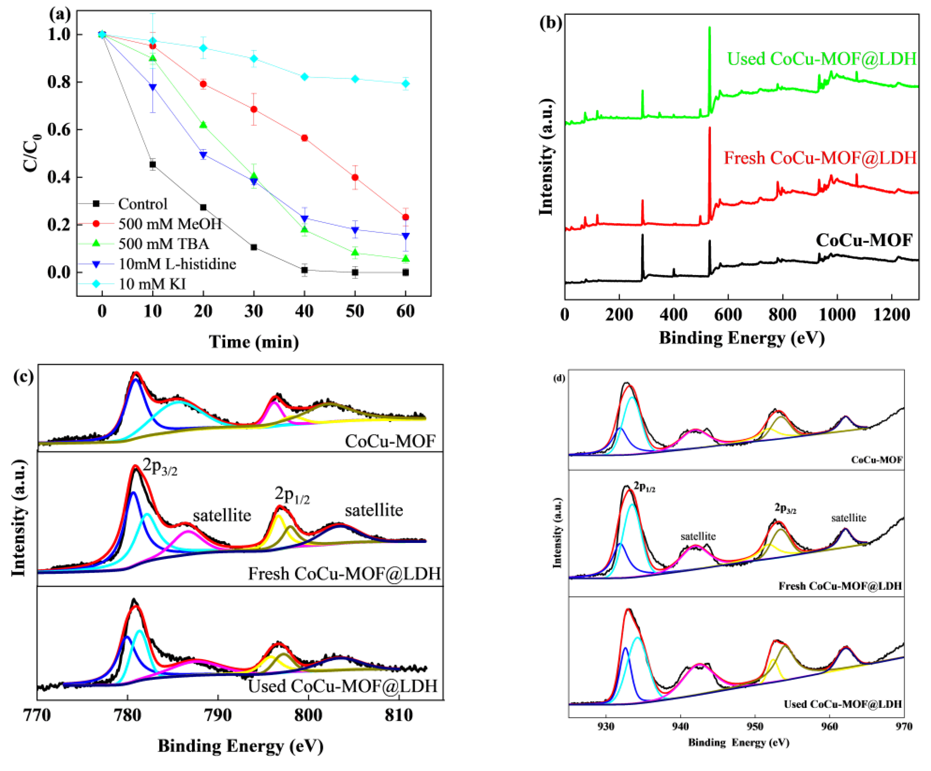 Nanomaterials 15 00432 g006a
