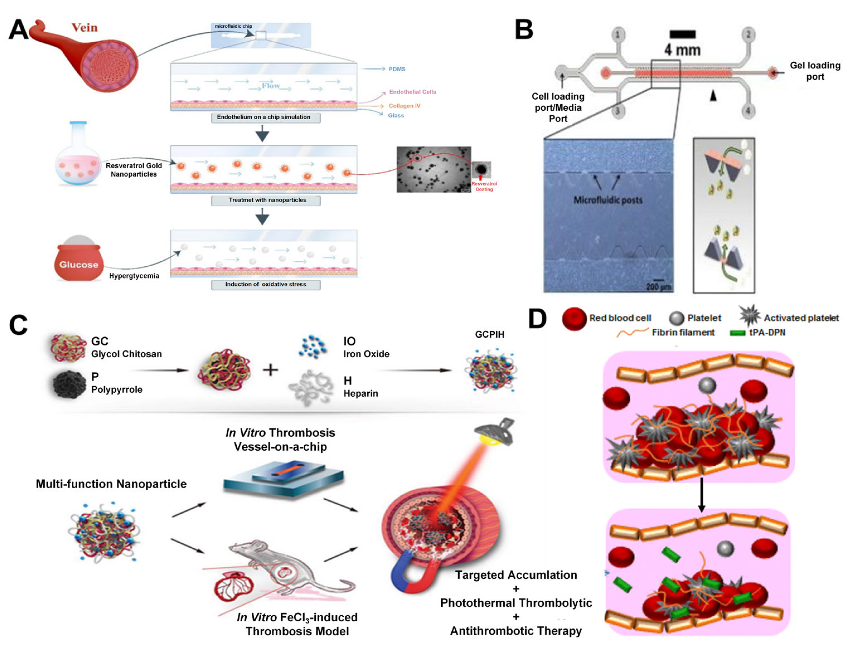 Nanomaterials 15 00434 g005