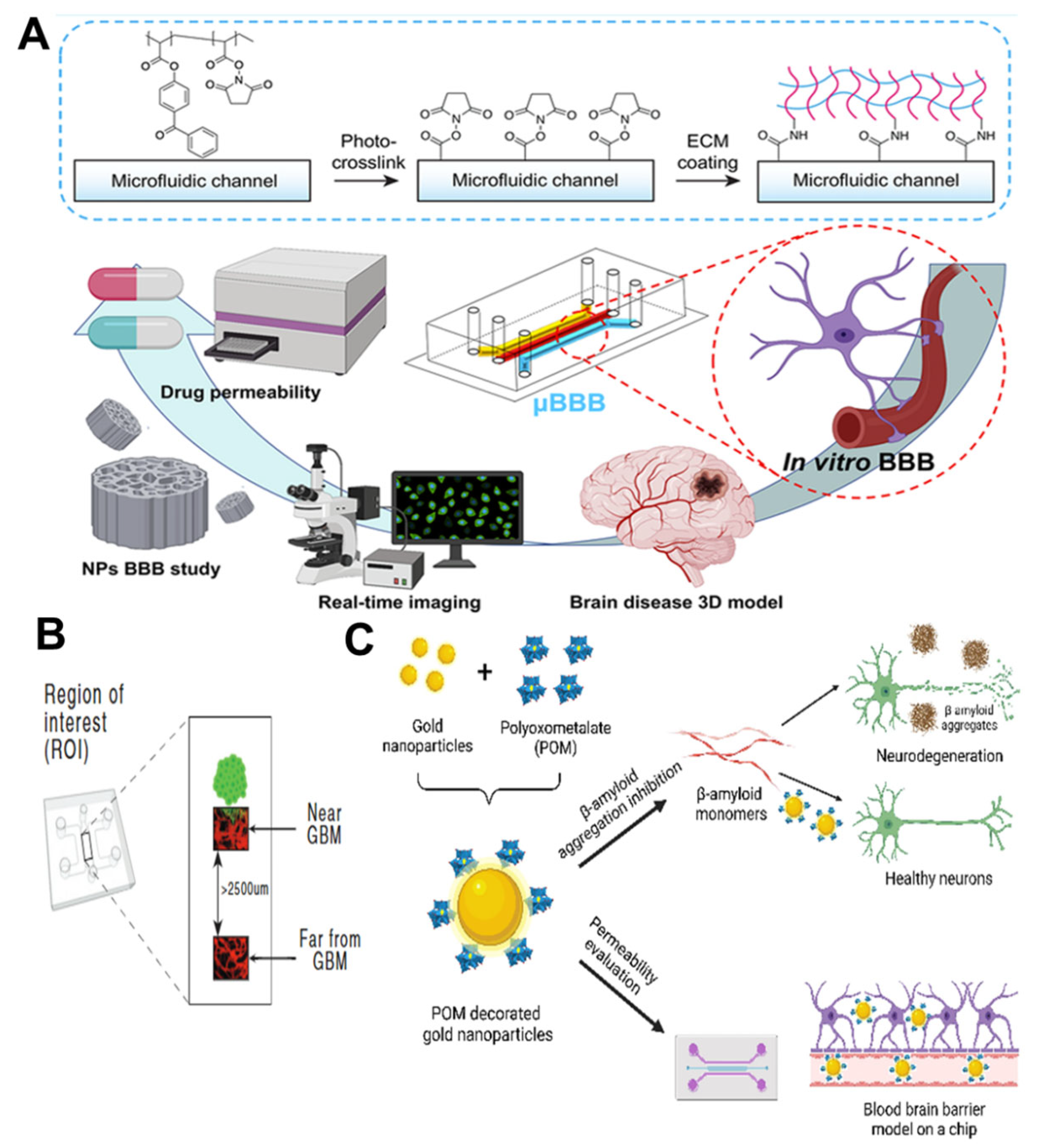 Nanomaterials 15 00434 g006