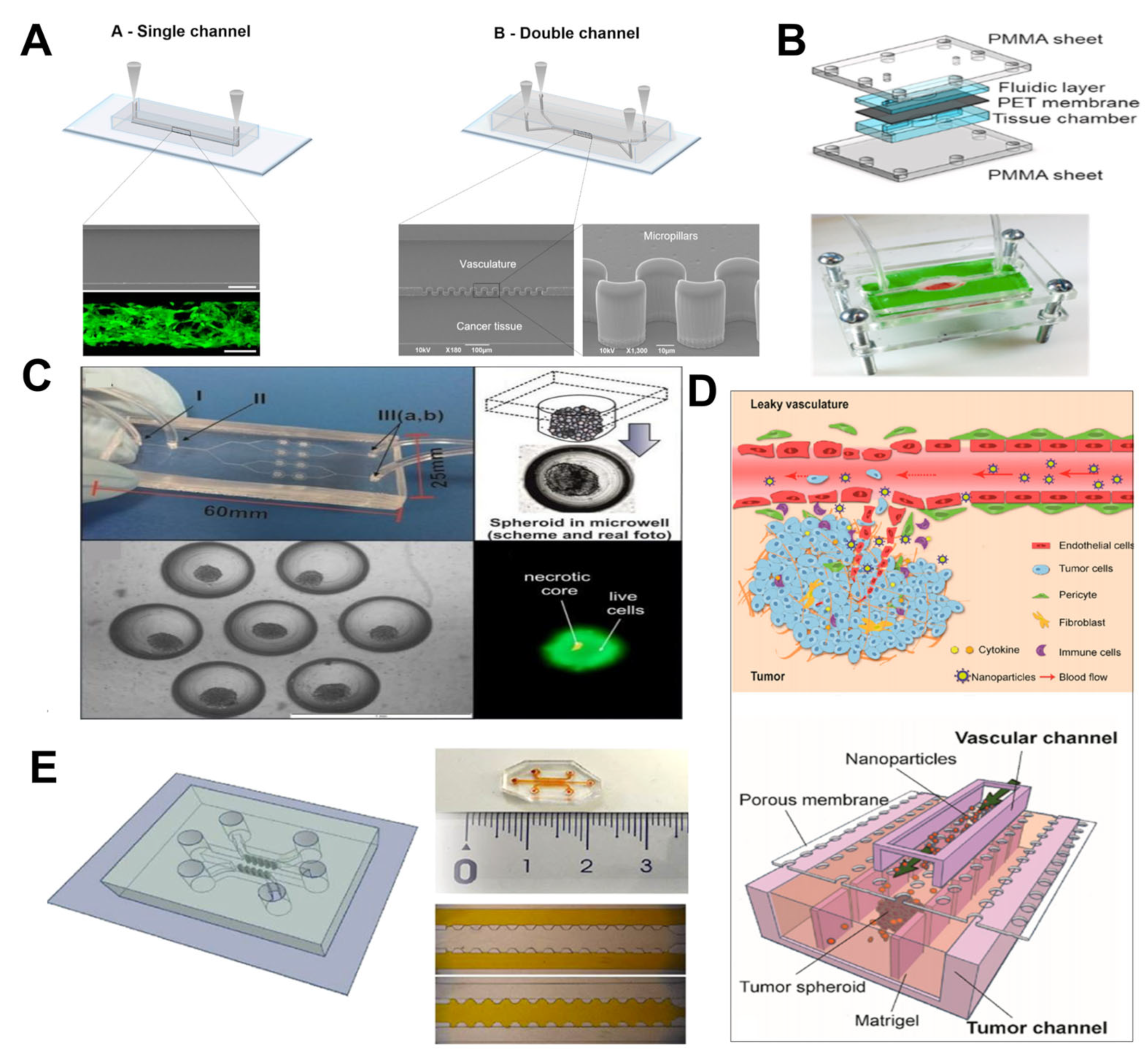 Nanomaterials 15 00434 g007
