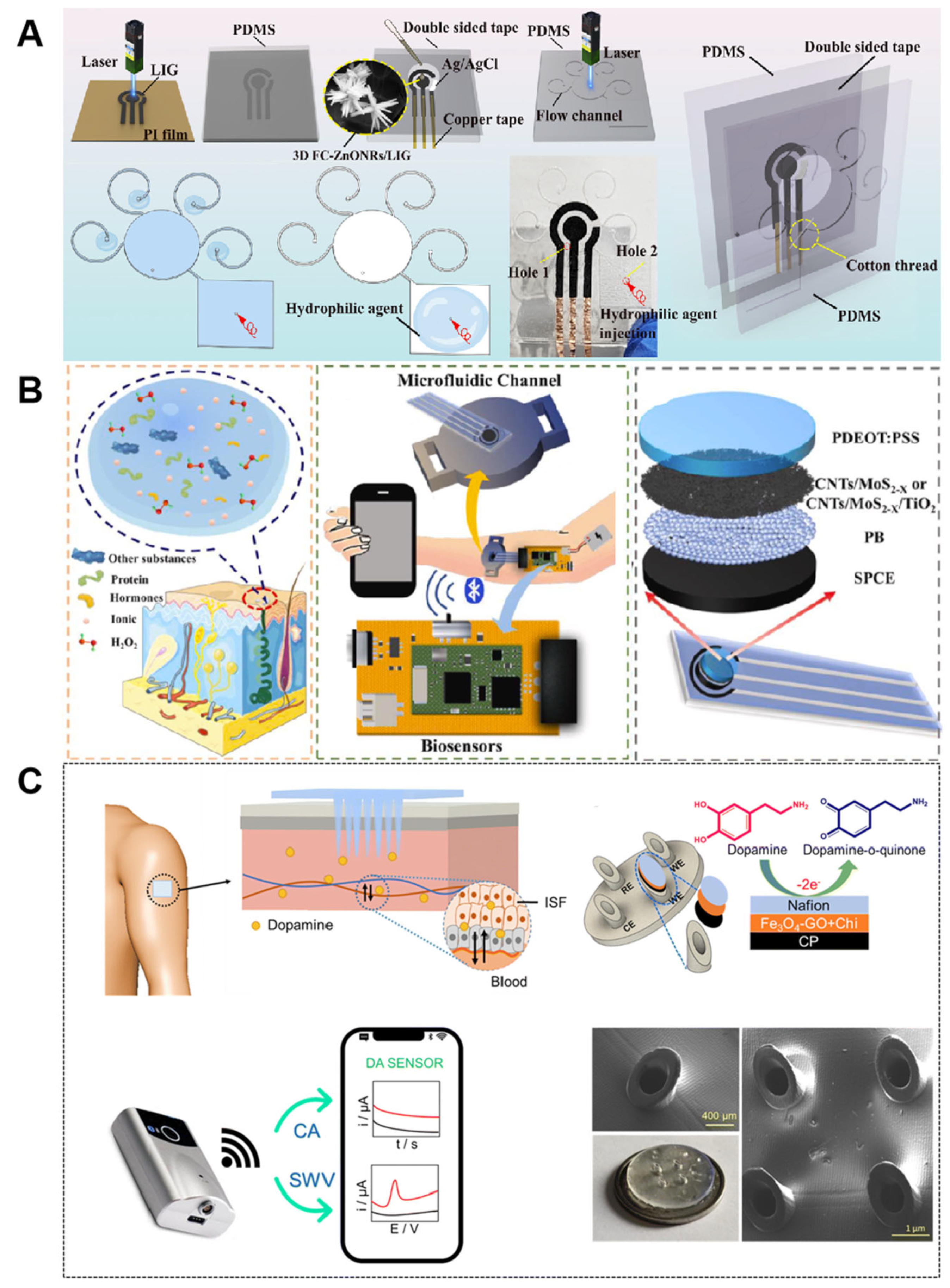 Nanomaterials 15 00434 g008