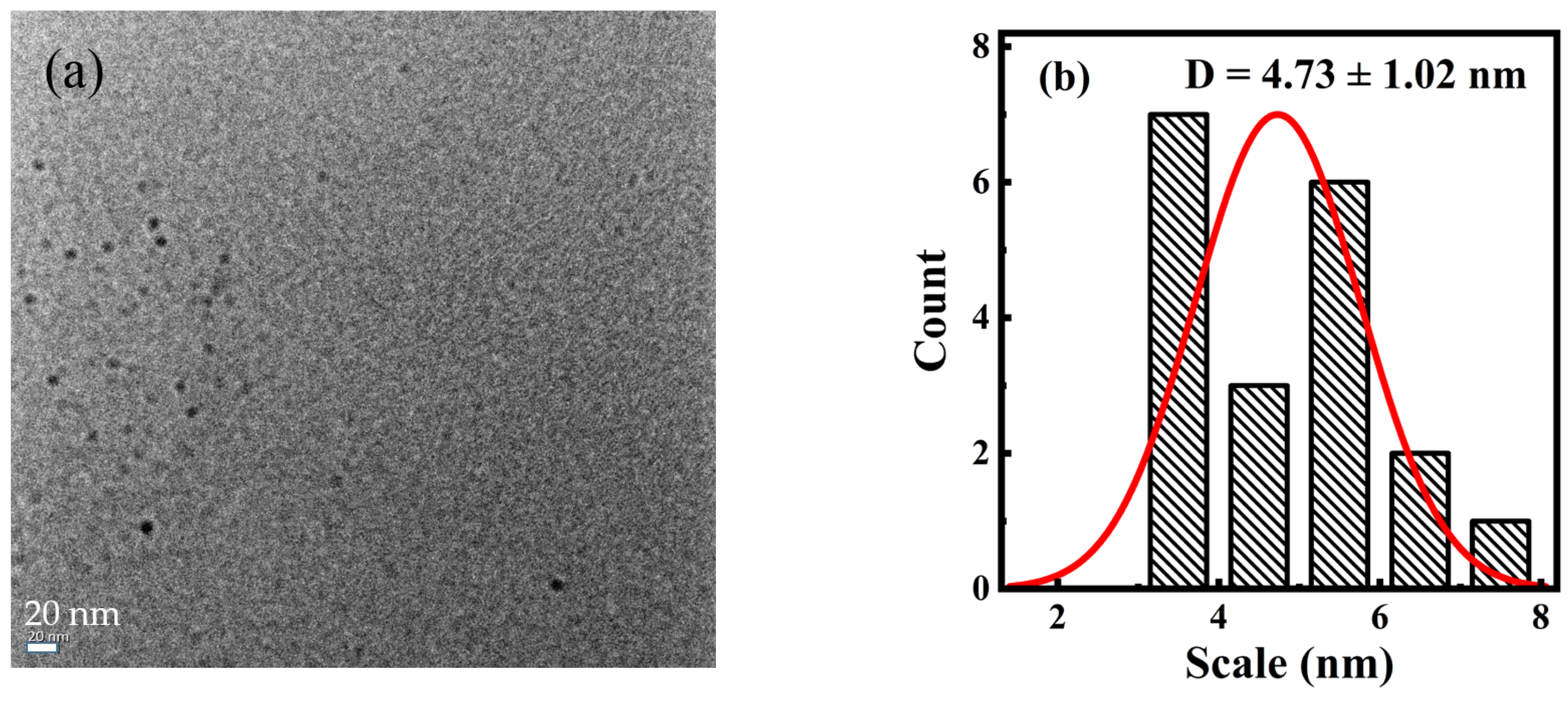 Nanomaterials 15 00436 g001a