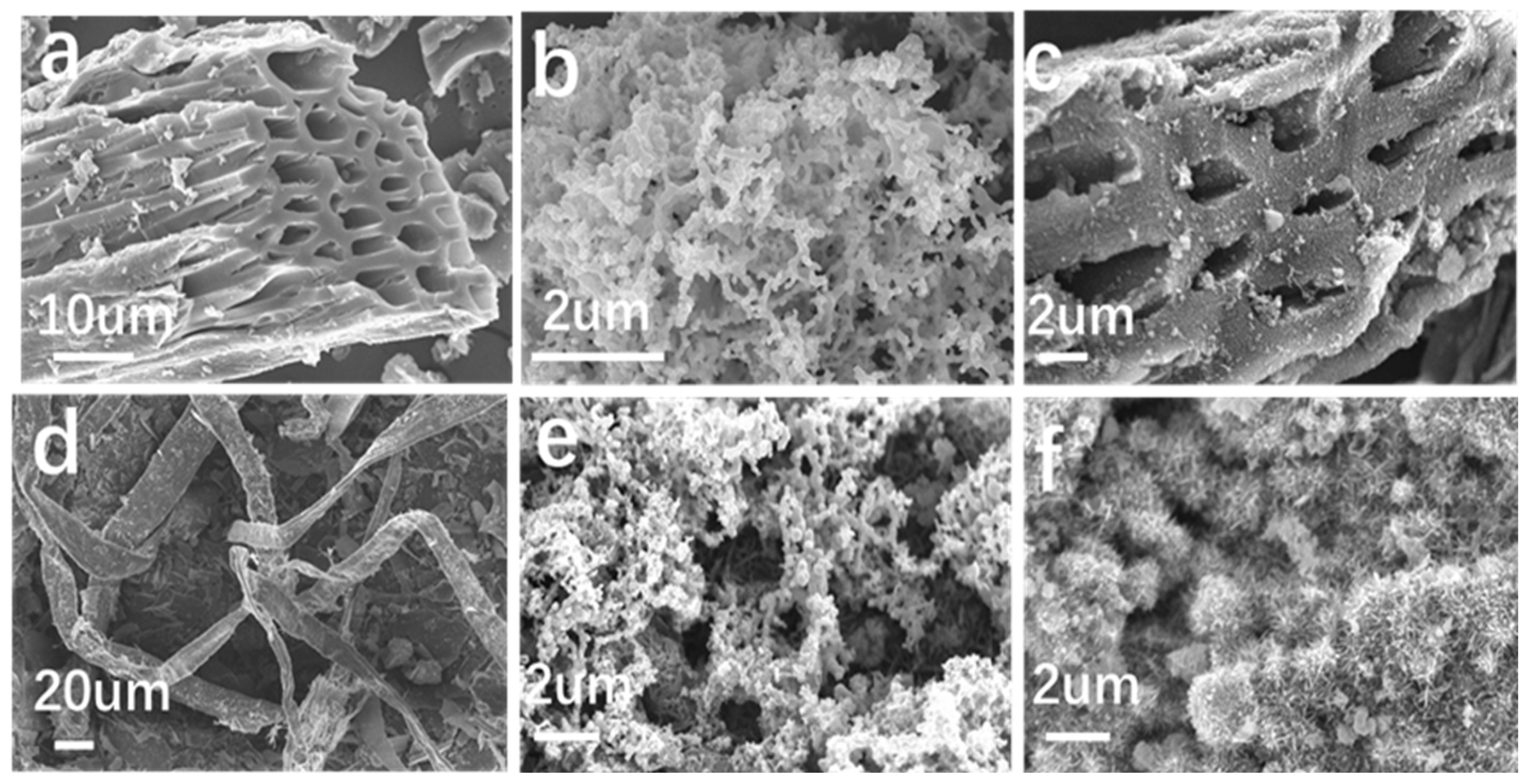Nanomaterials 15 00441 g002
