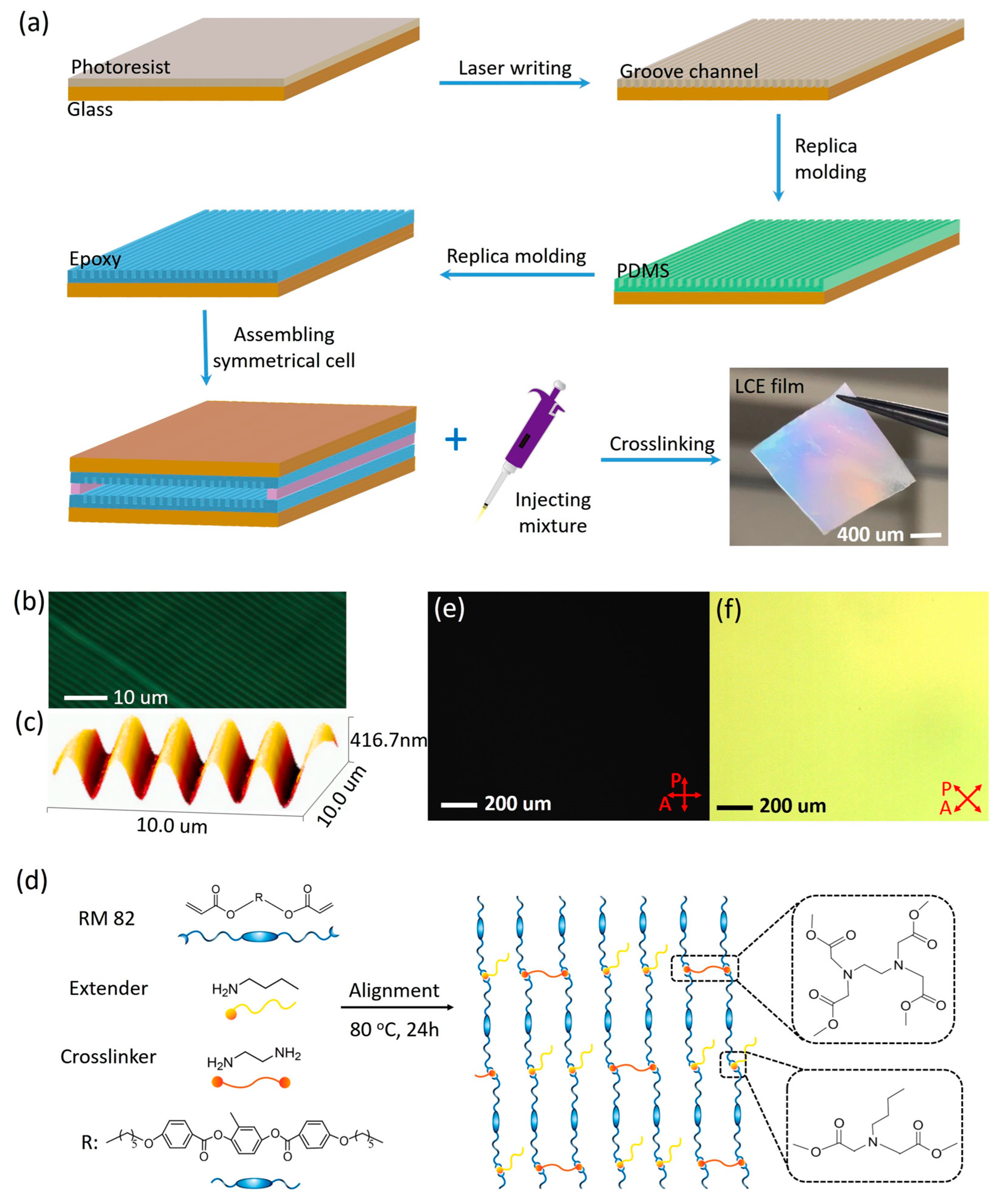 Nanomaterials 15 00443 g001