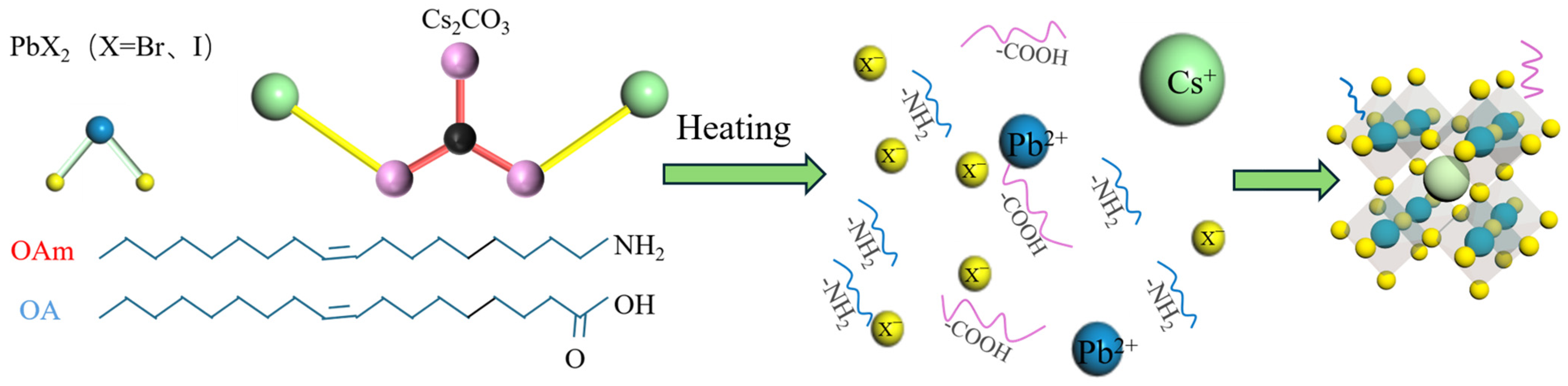 Nanomaterials 15 00444 g001