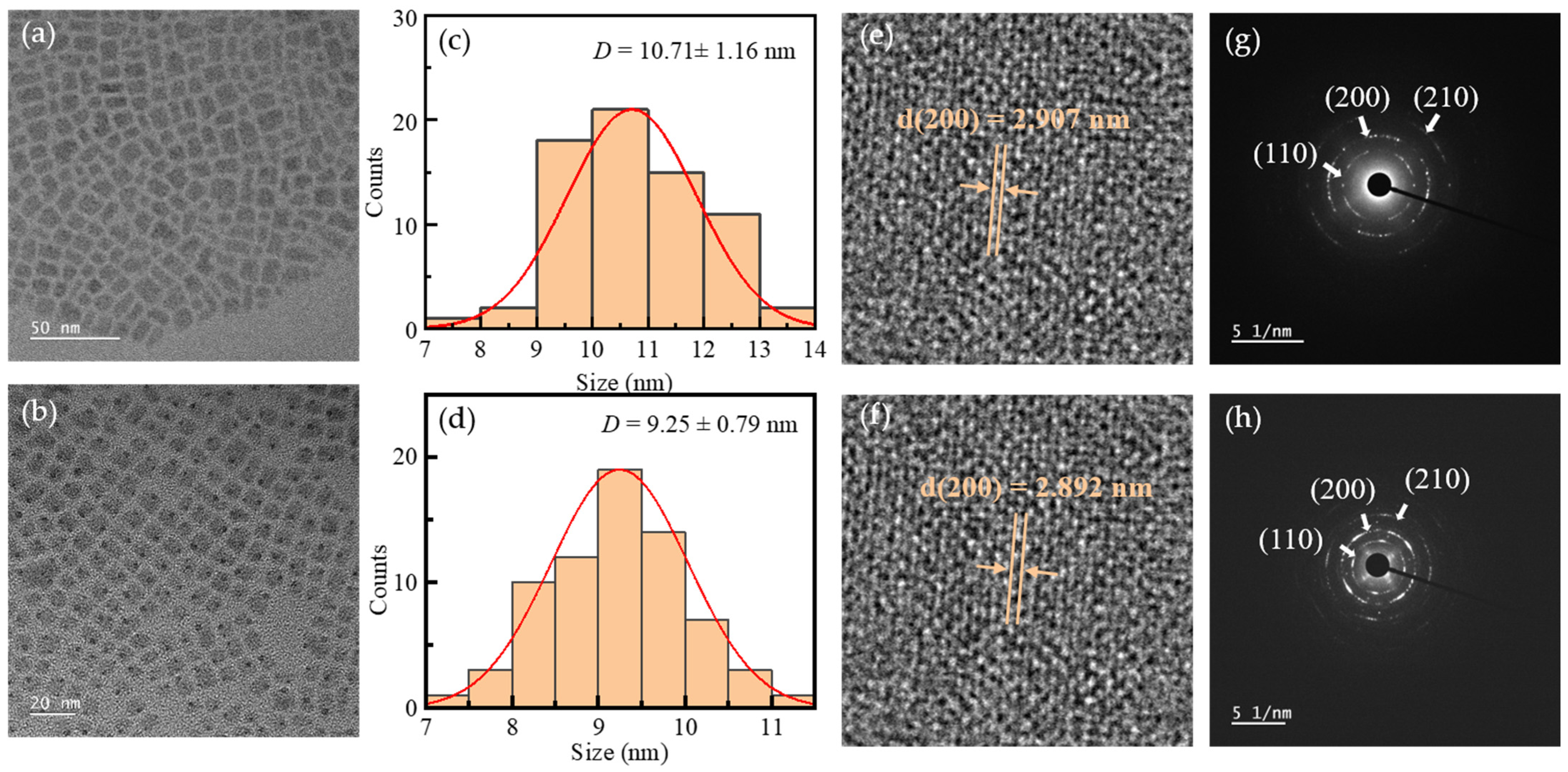 Nanomaterials 15 00444 g007