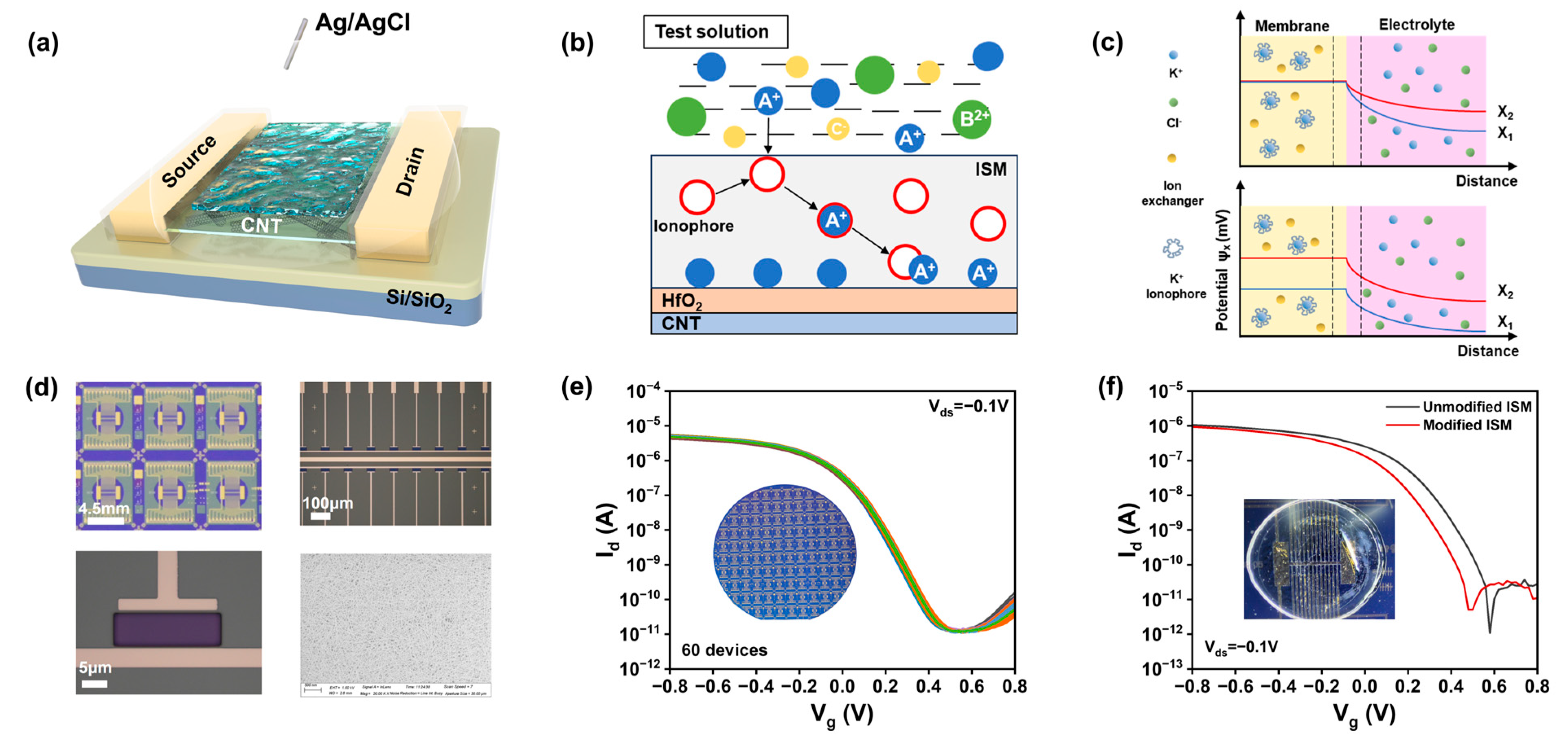 Nanomaterials 15 00447 g001