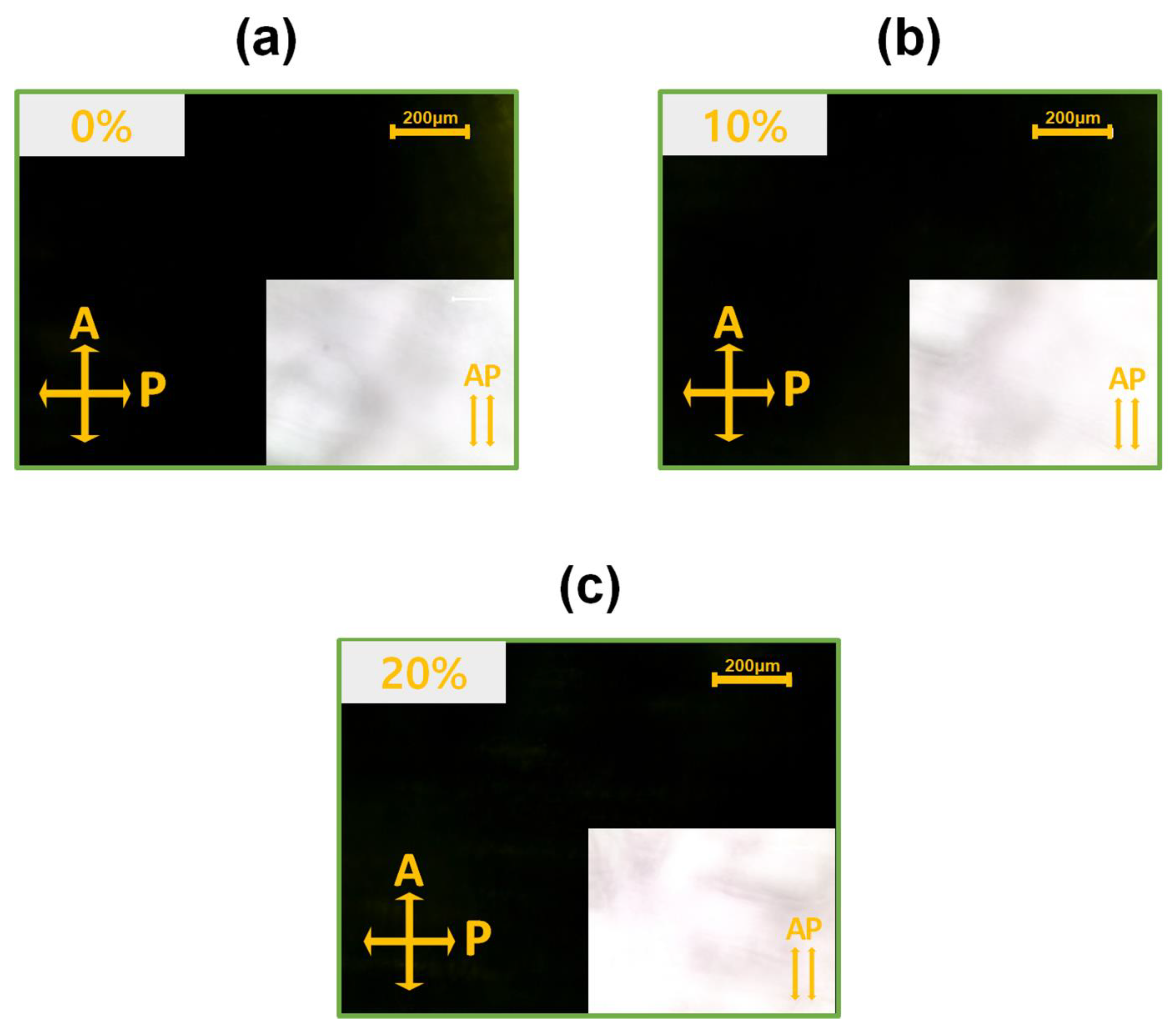 Nanomaterials 15 00449 g001