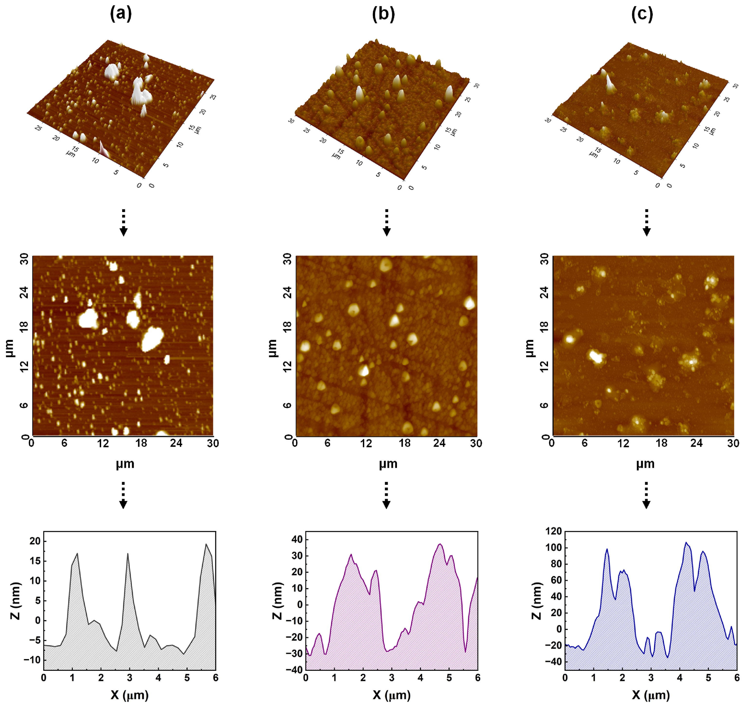 Nanomaterials 15 00449 g005