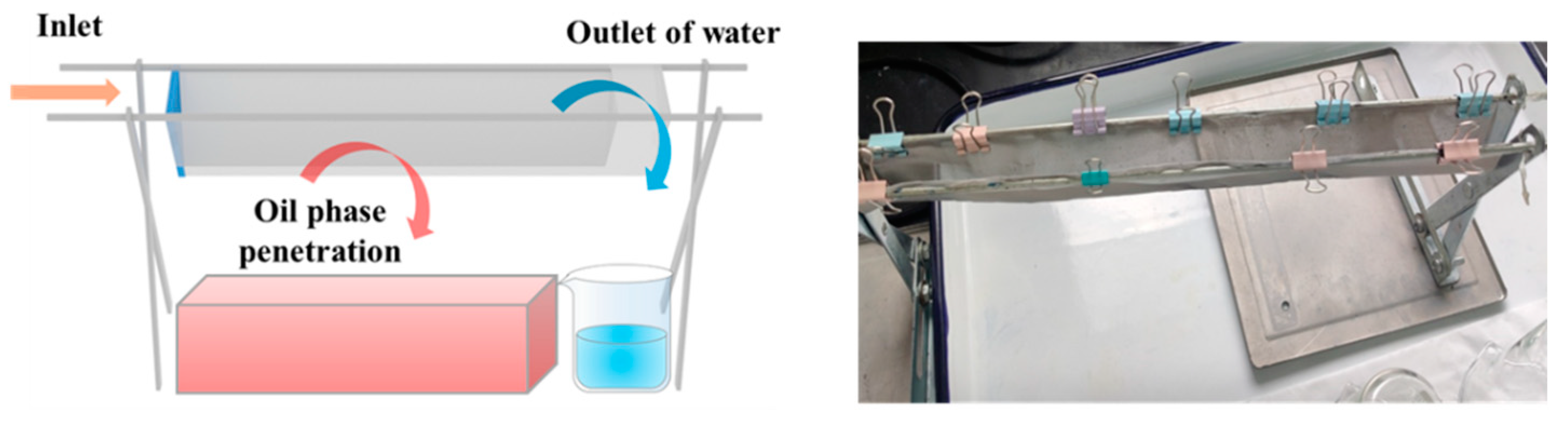 Nanomaterials 15 00450 g001