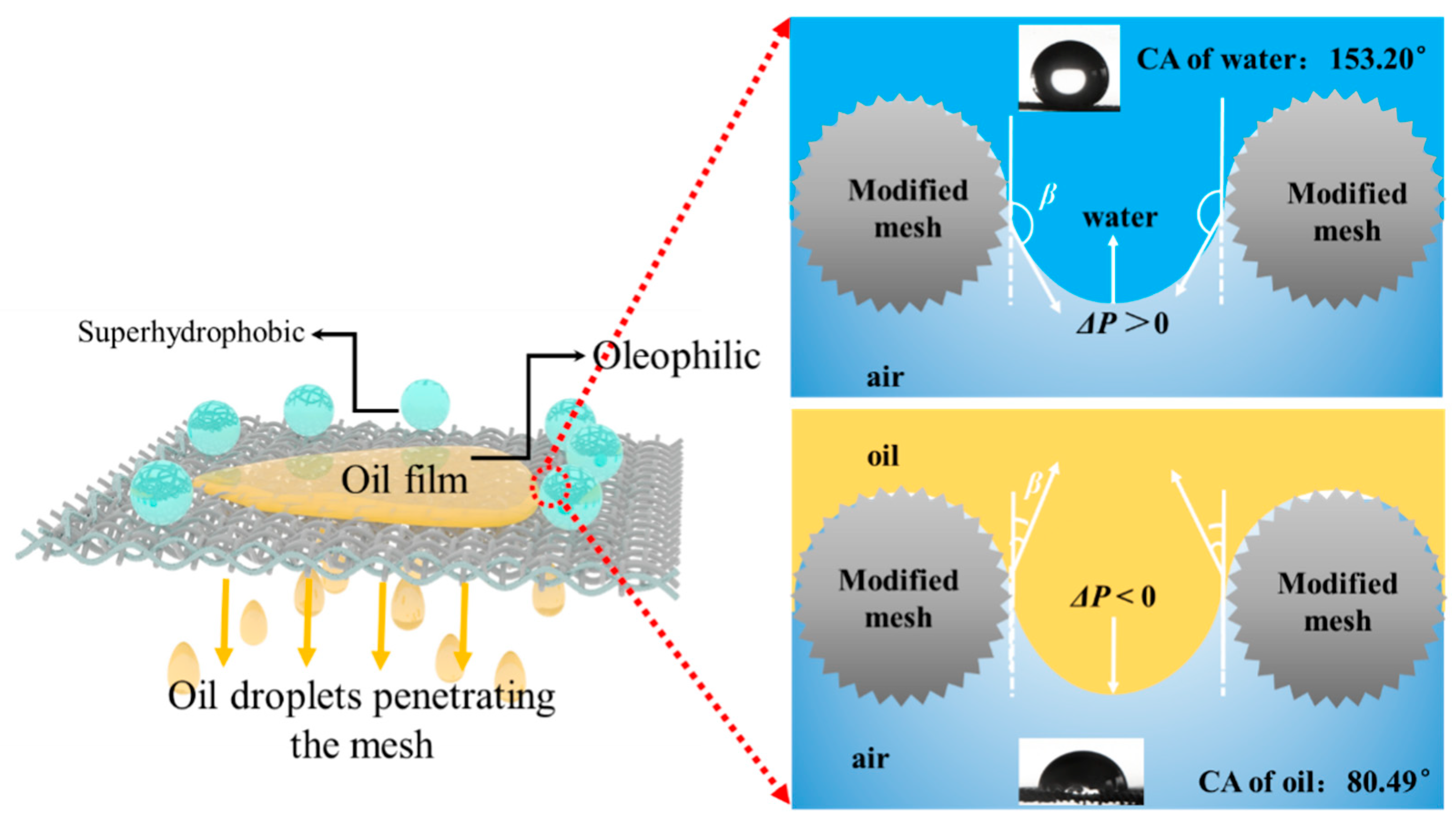 Nanomaterials 15 00450 g012