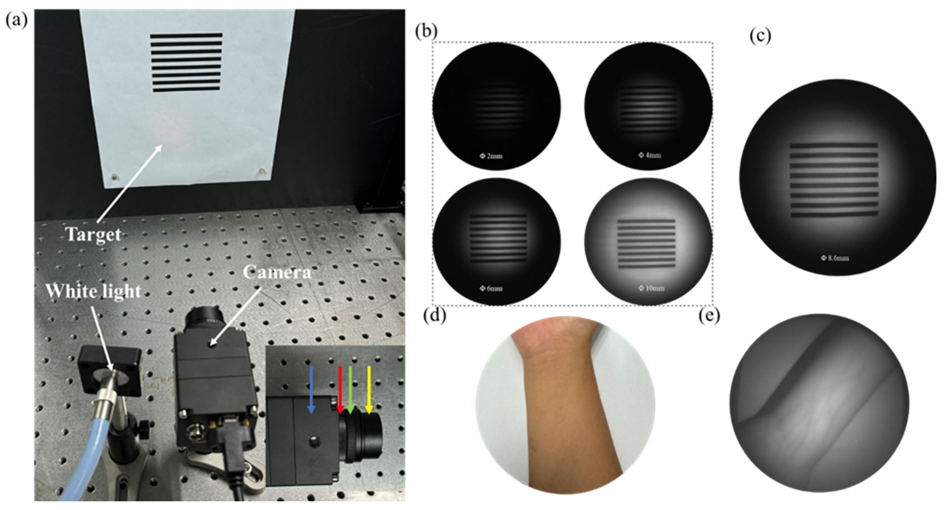 Nanomaterials 15 00453 g006
