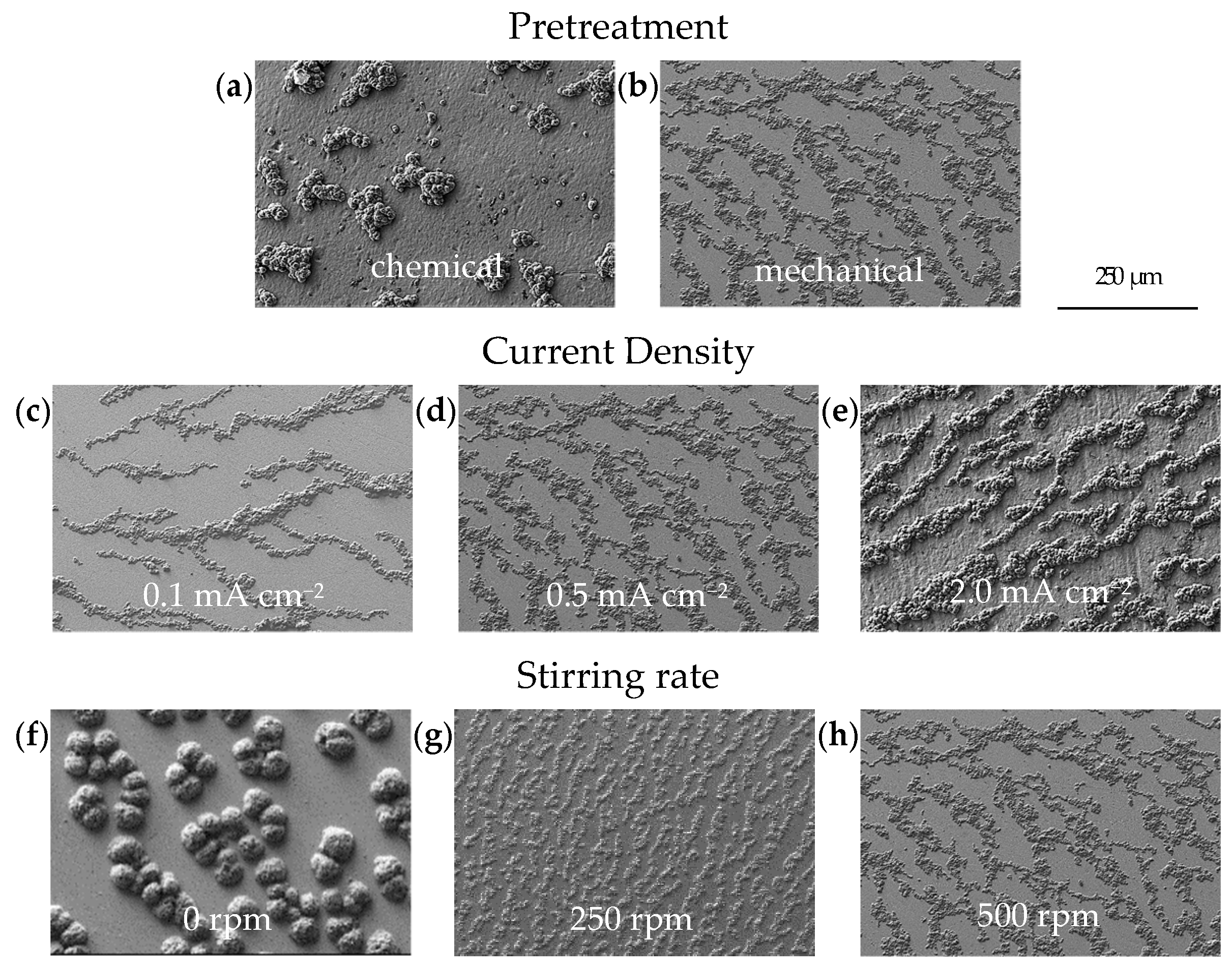 Nanomaterials 15 00454 g004a