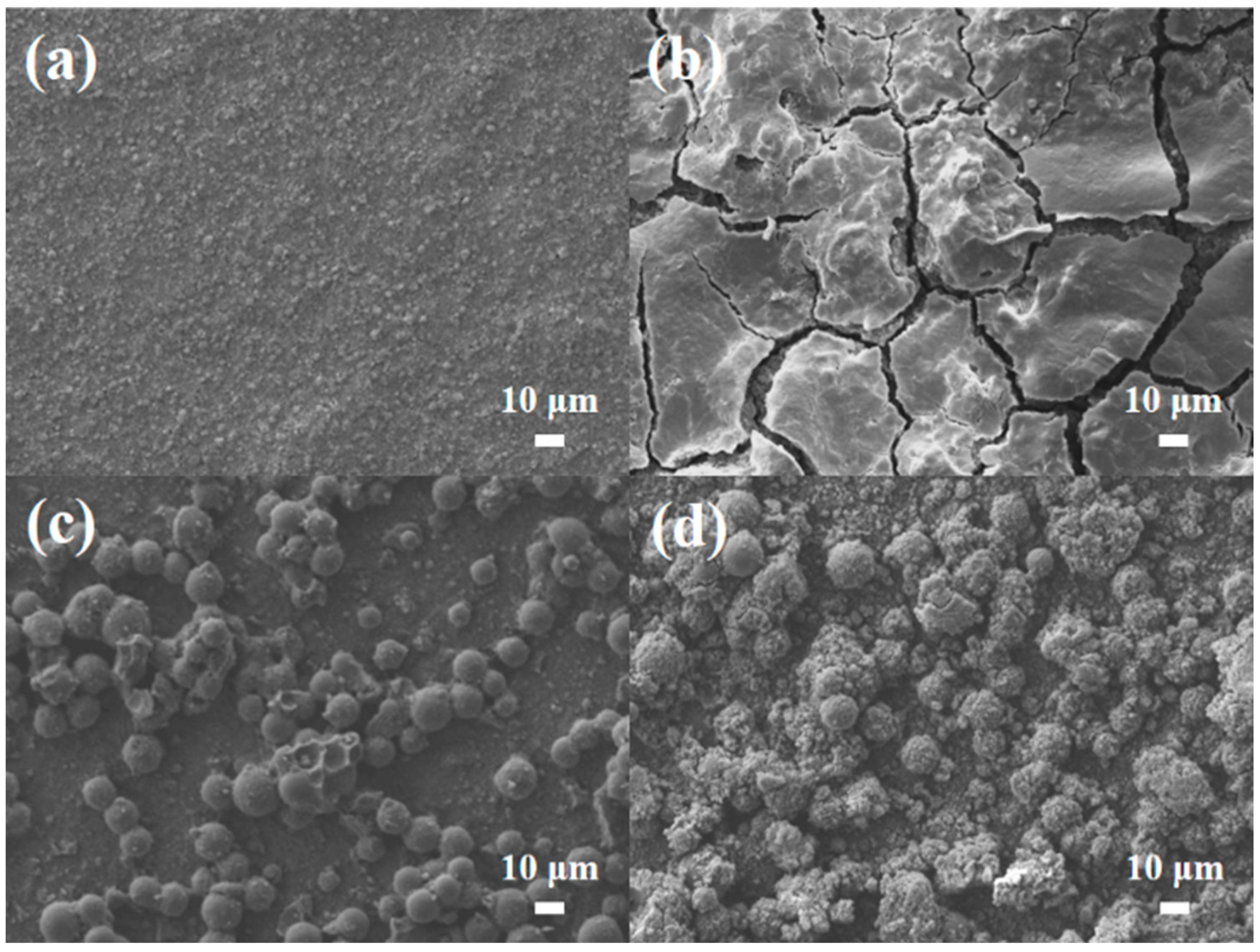Nanomaterials 15 00455 g008