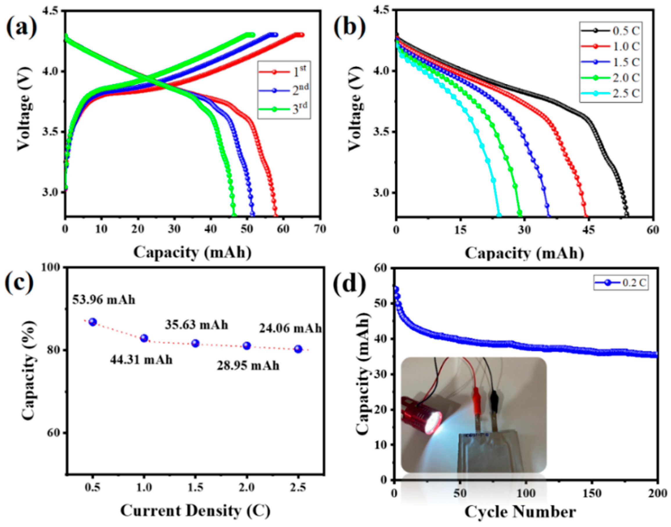 Nanomaterials 15 00455 g010