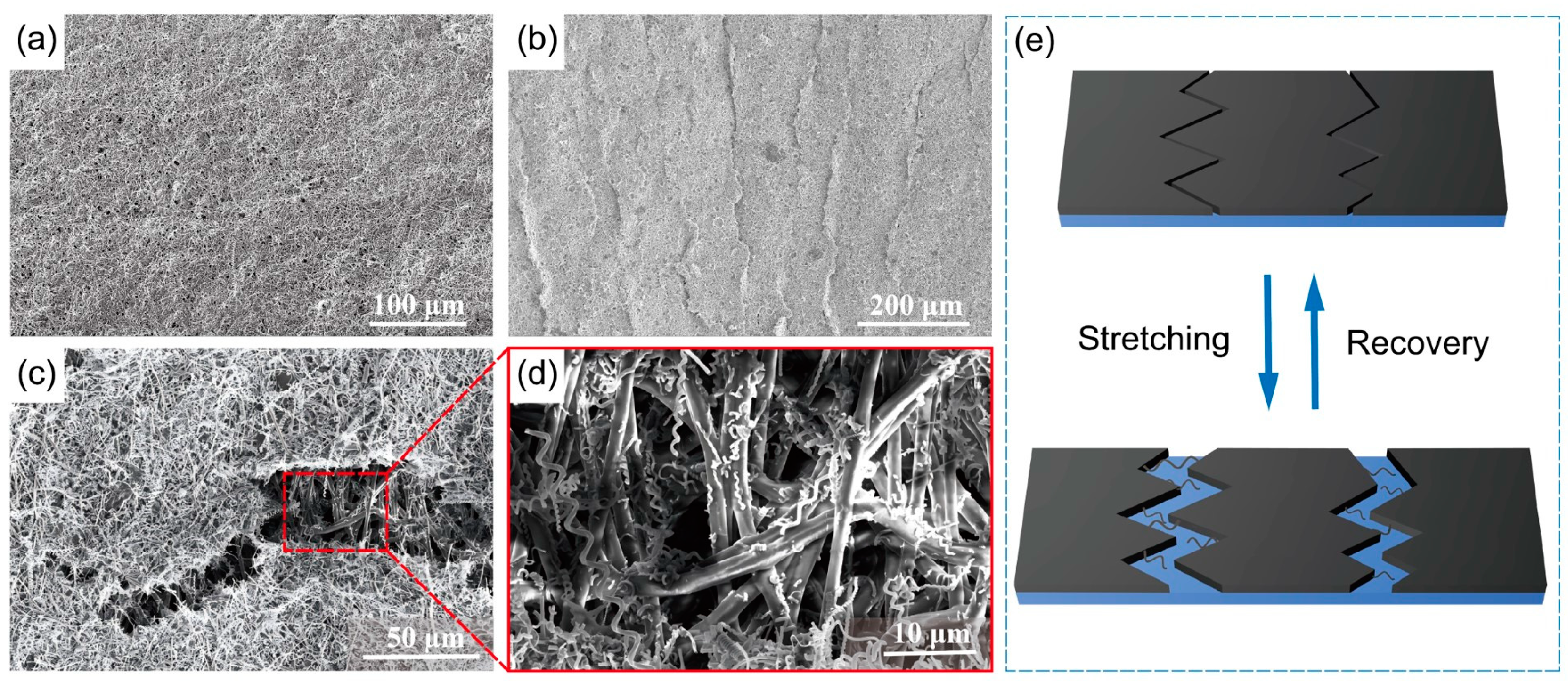 Nanomaterials 15 00457 g004