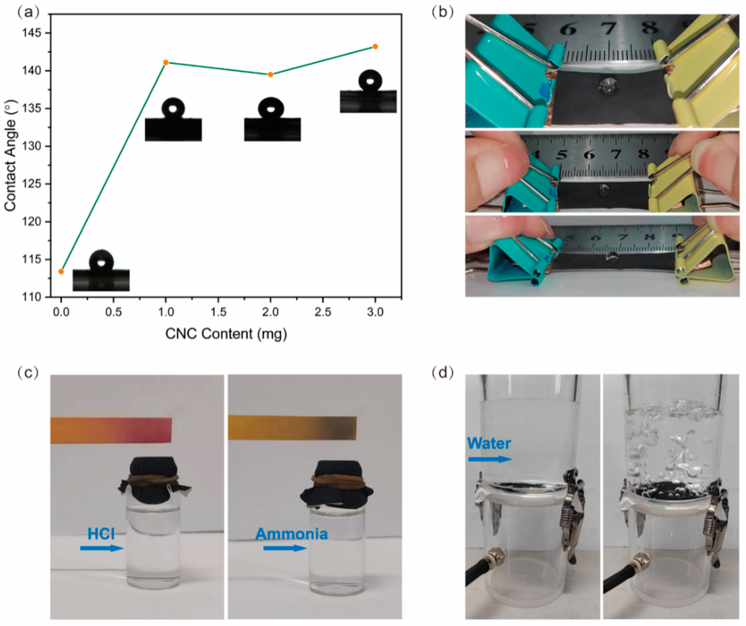 Nanomaterials 15 00457 g007