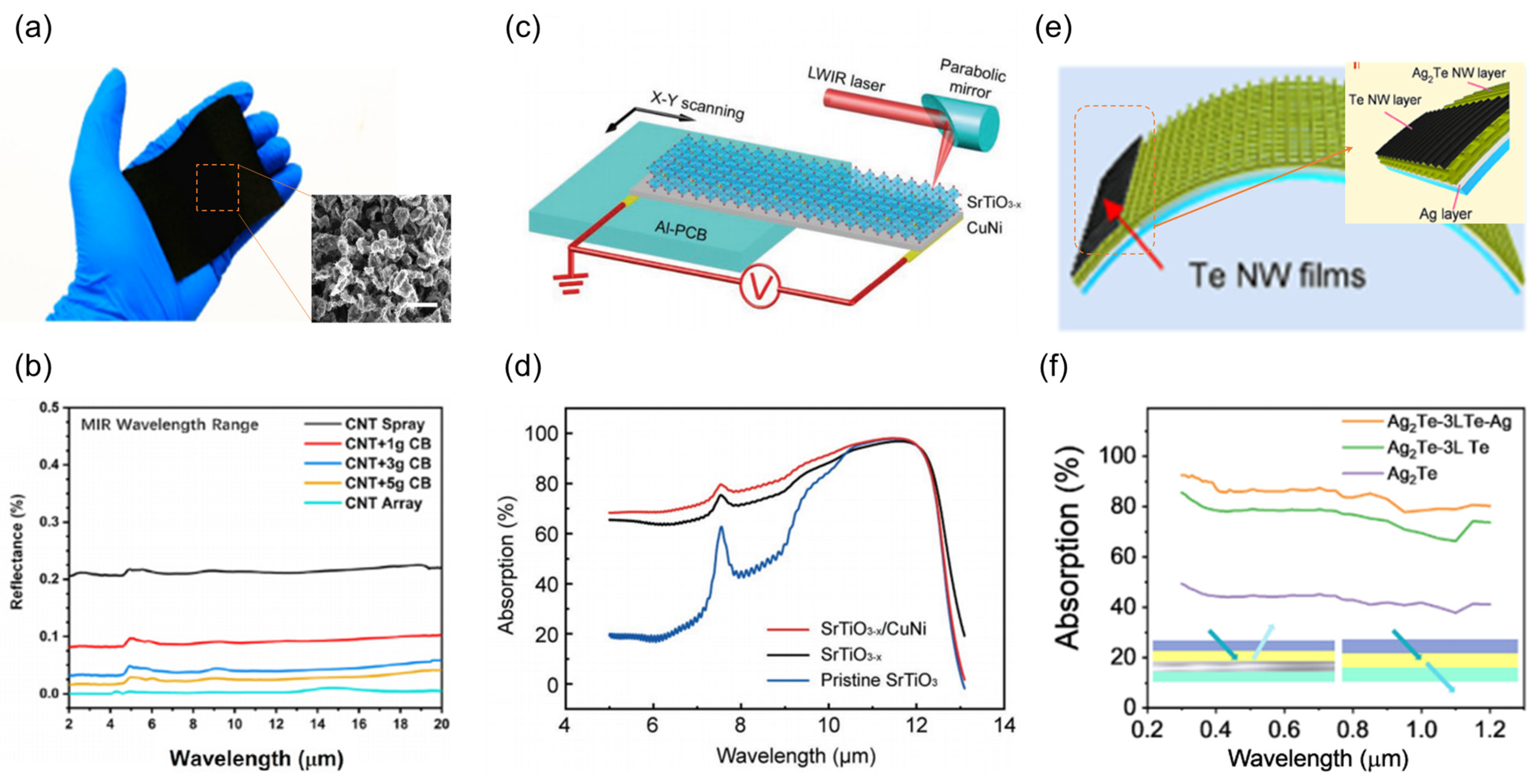 Nanomaterials 15 00459 g004