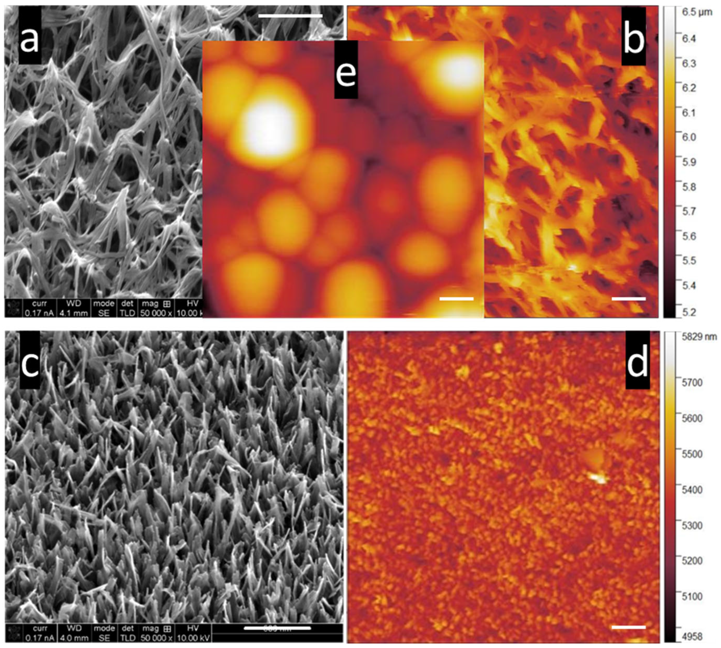 Nanomaterials 15 00462 g001