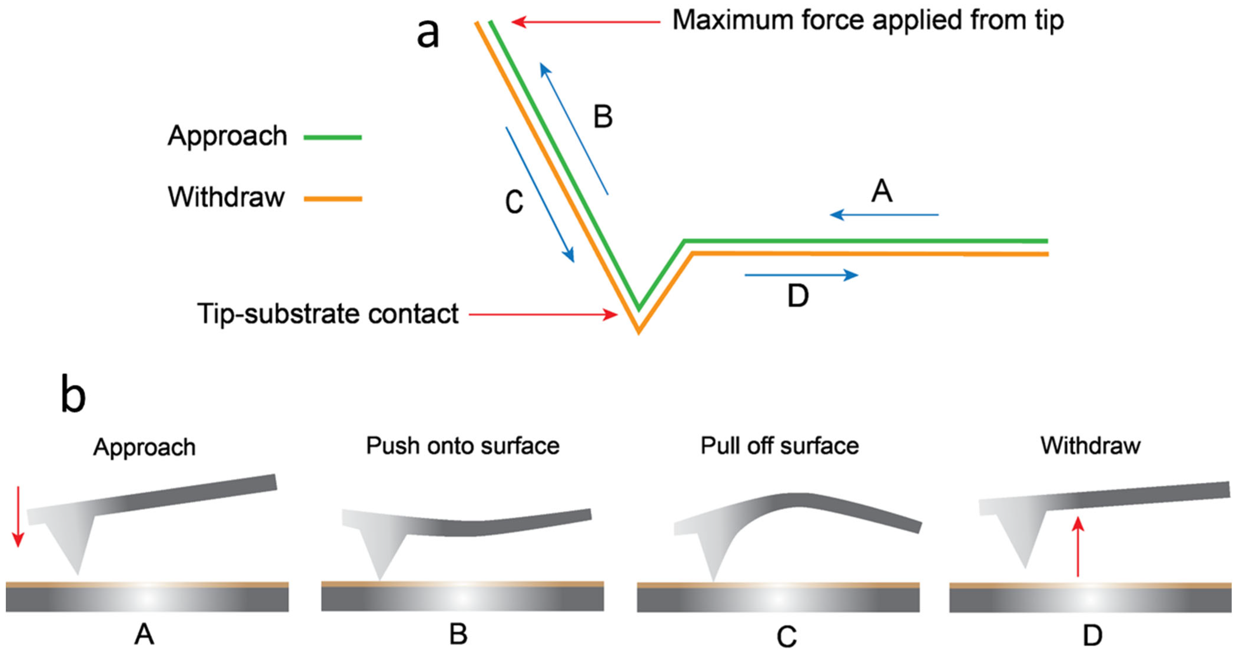 Nanomaterials 15 00462 g003