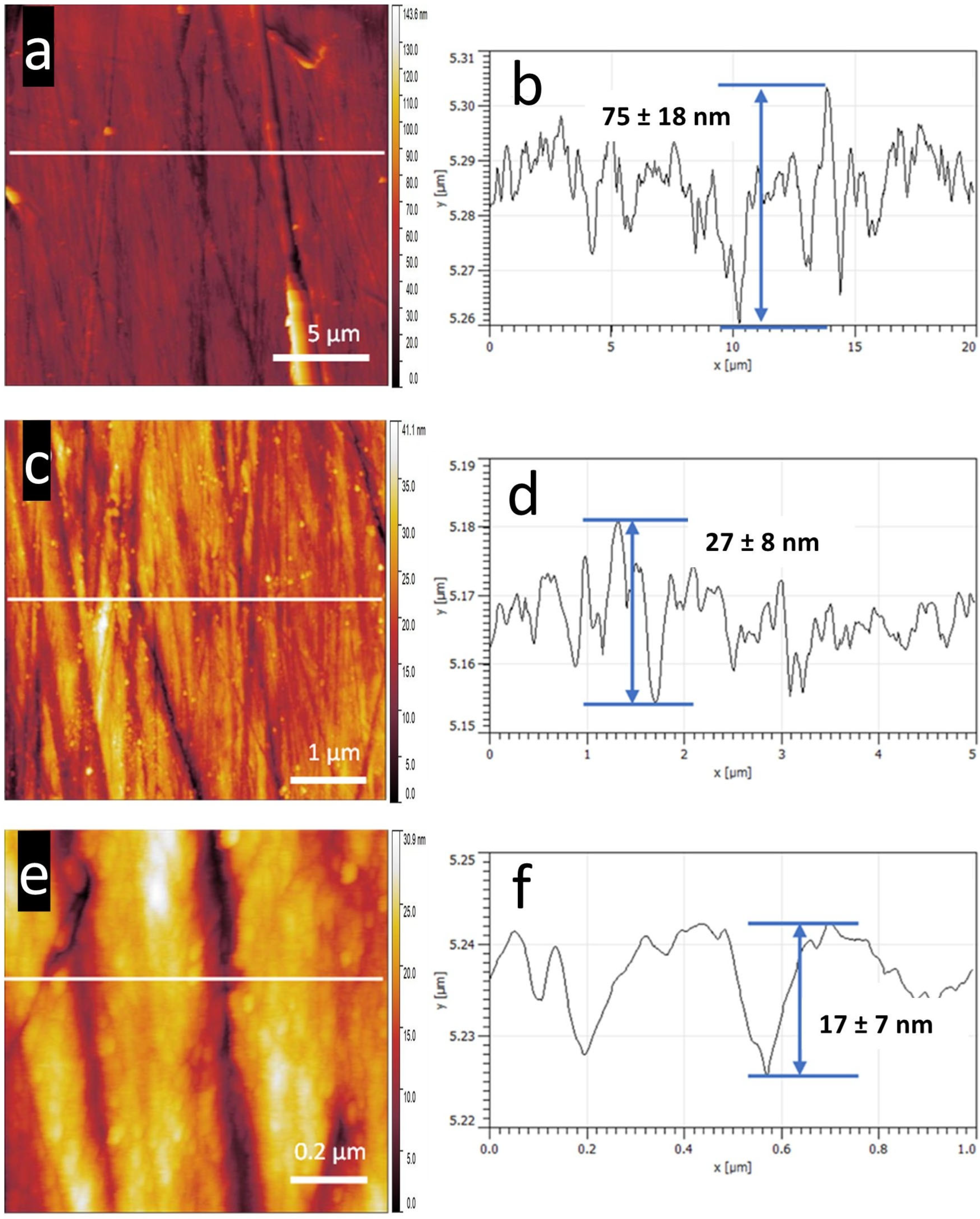 Nanomaterials 15 00462 g004