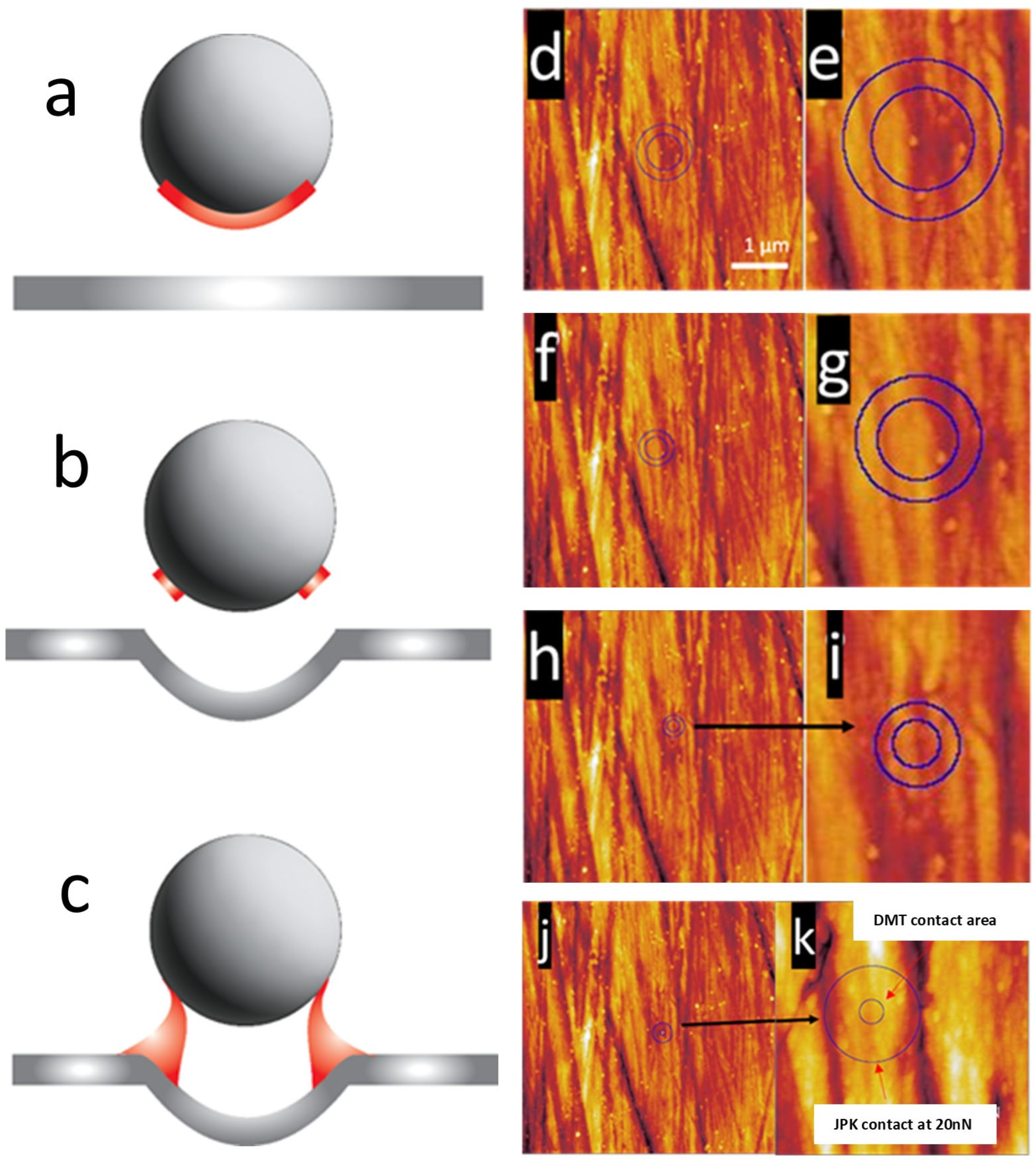 Nanomaterials 15 00462 g005