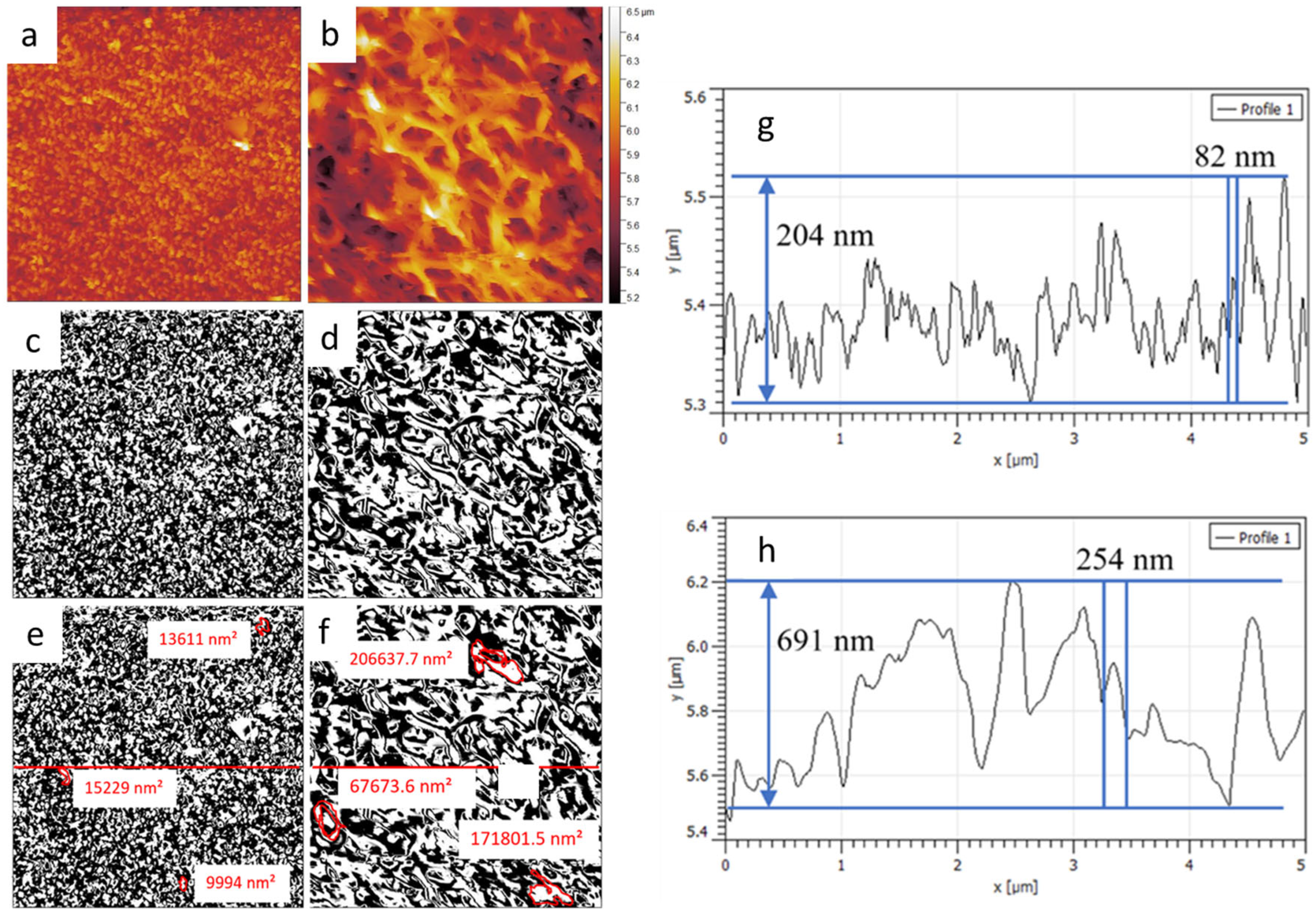 Nanomaterials 15 00462 g009