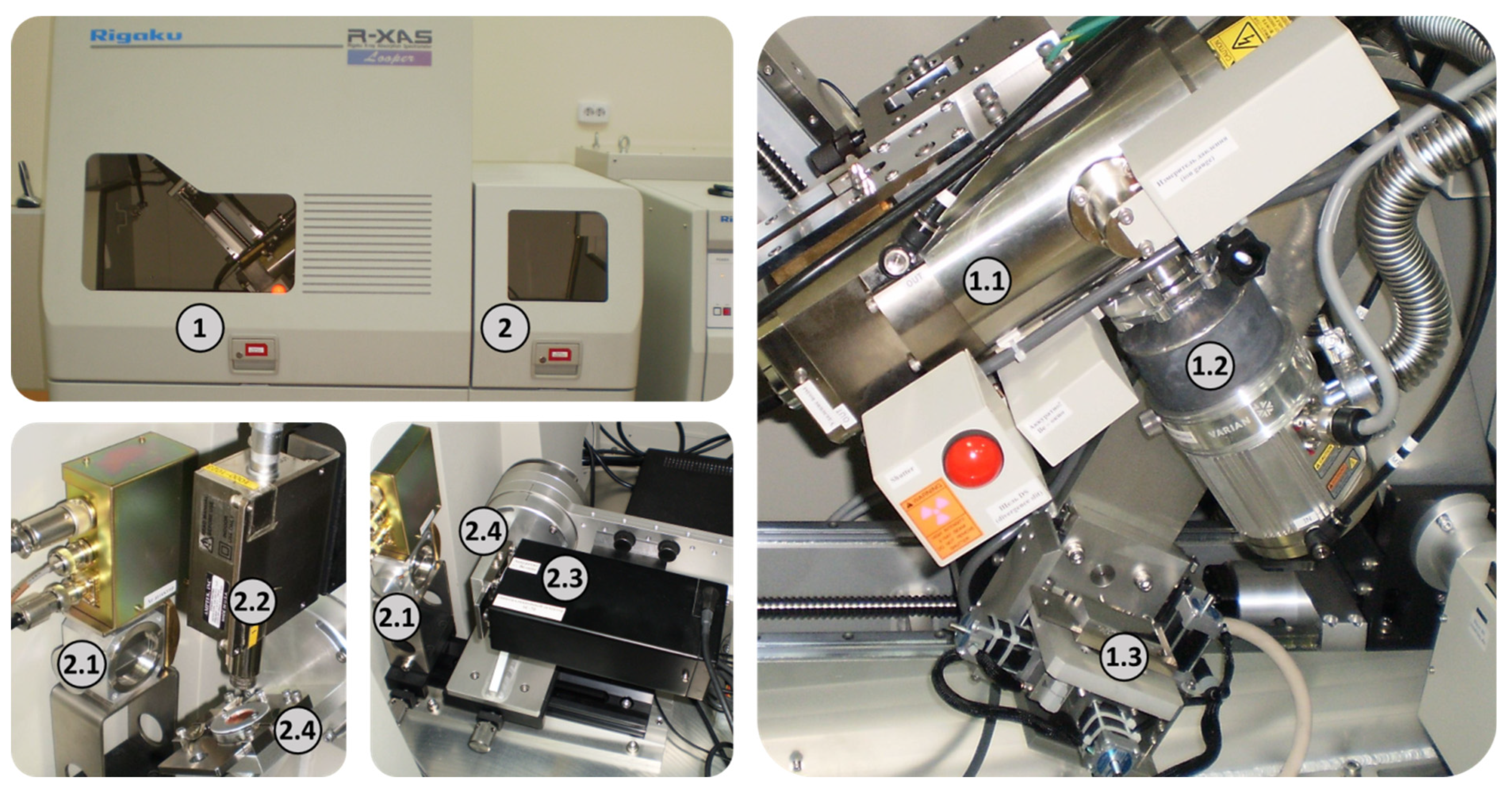 Nanomaterials 15 00463 g001