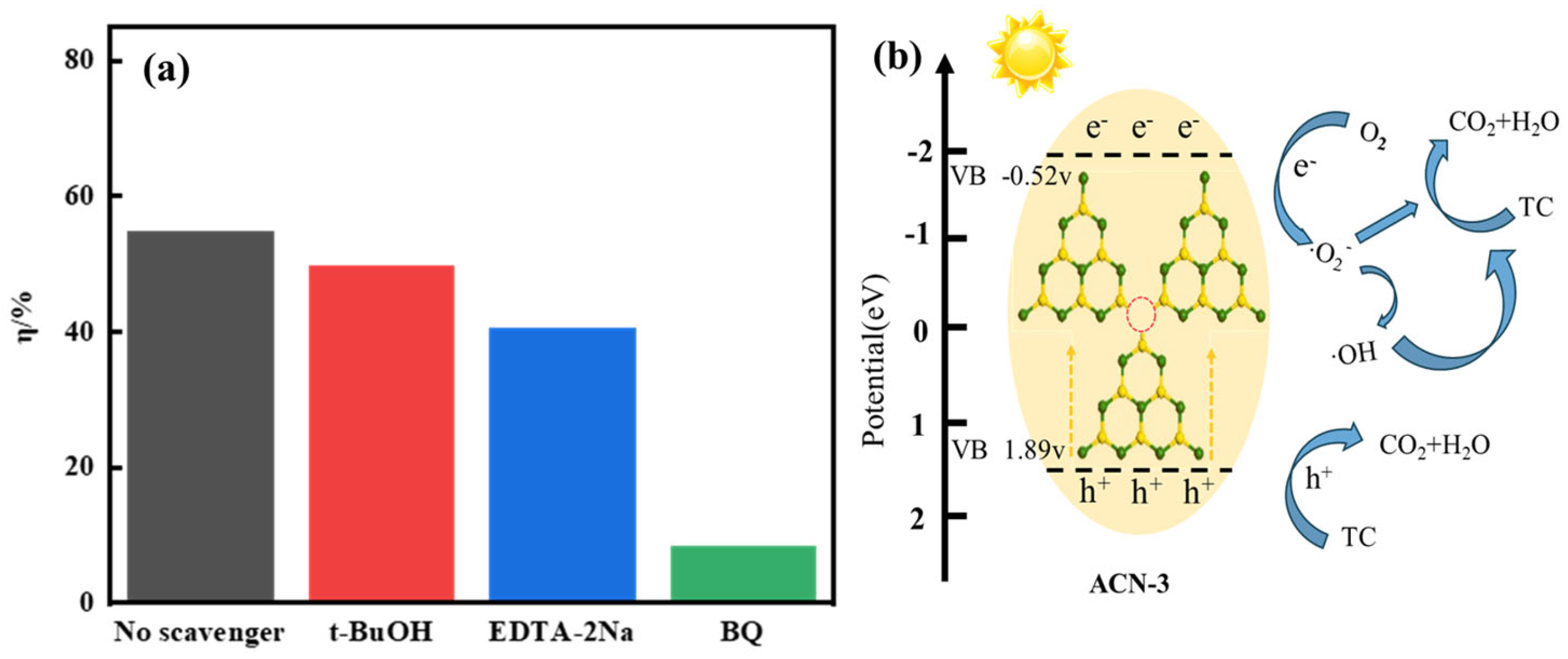 Nanomaterials 15 00466 g006