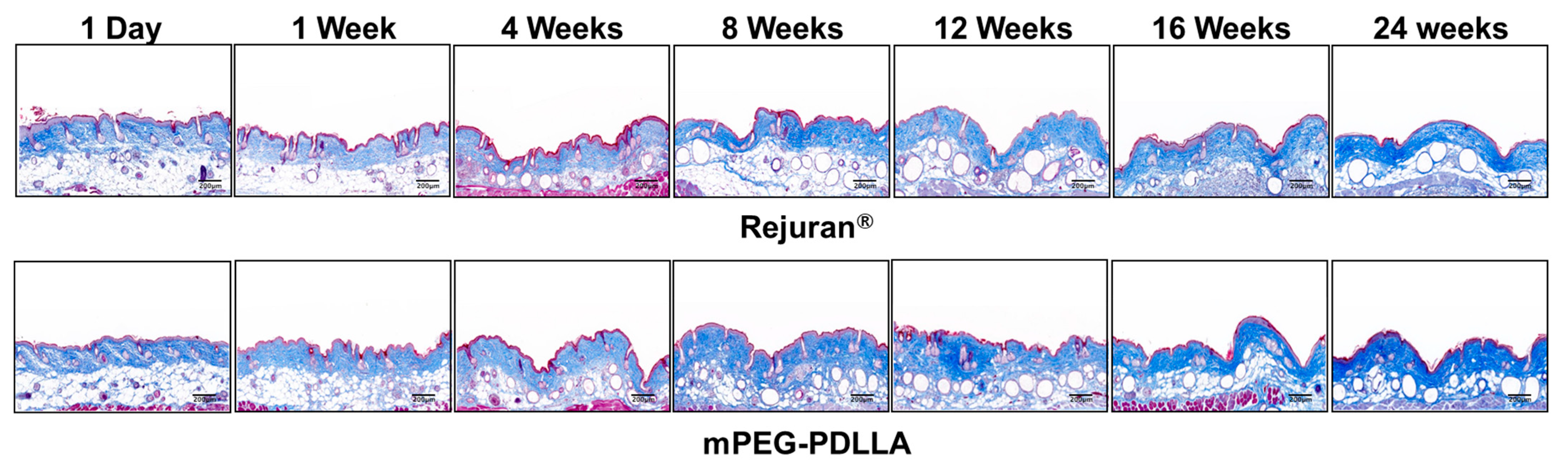 Nanomaterials 15 00470 g008