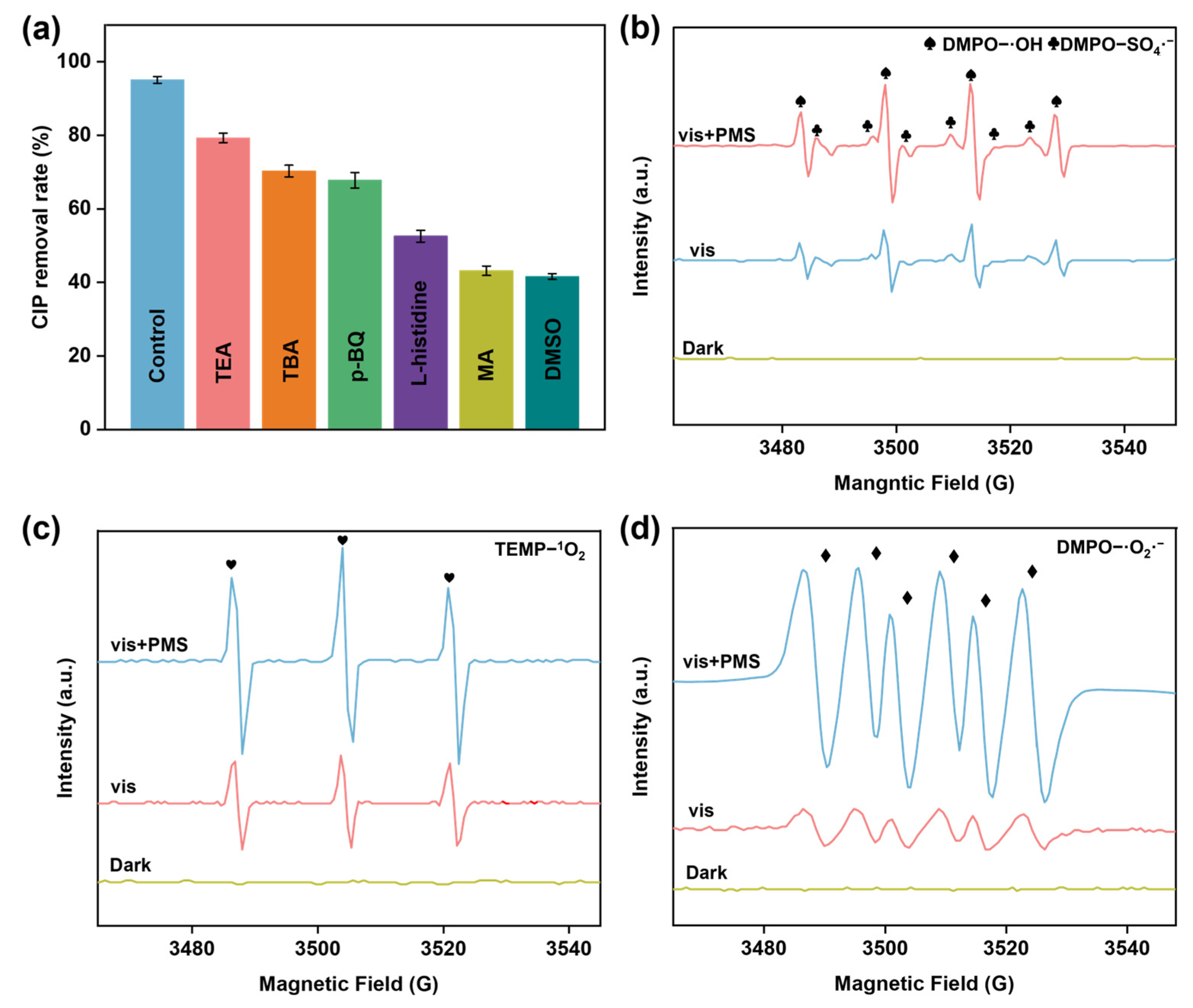 Nanomaterials 15 00471 g005