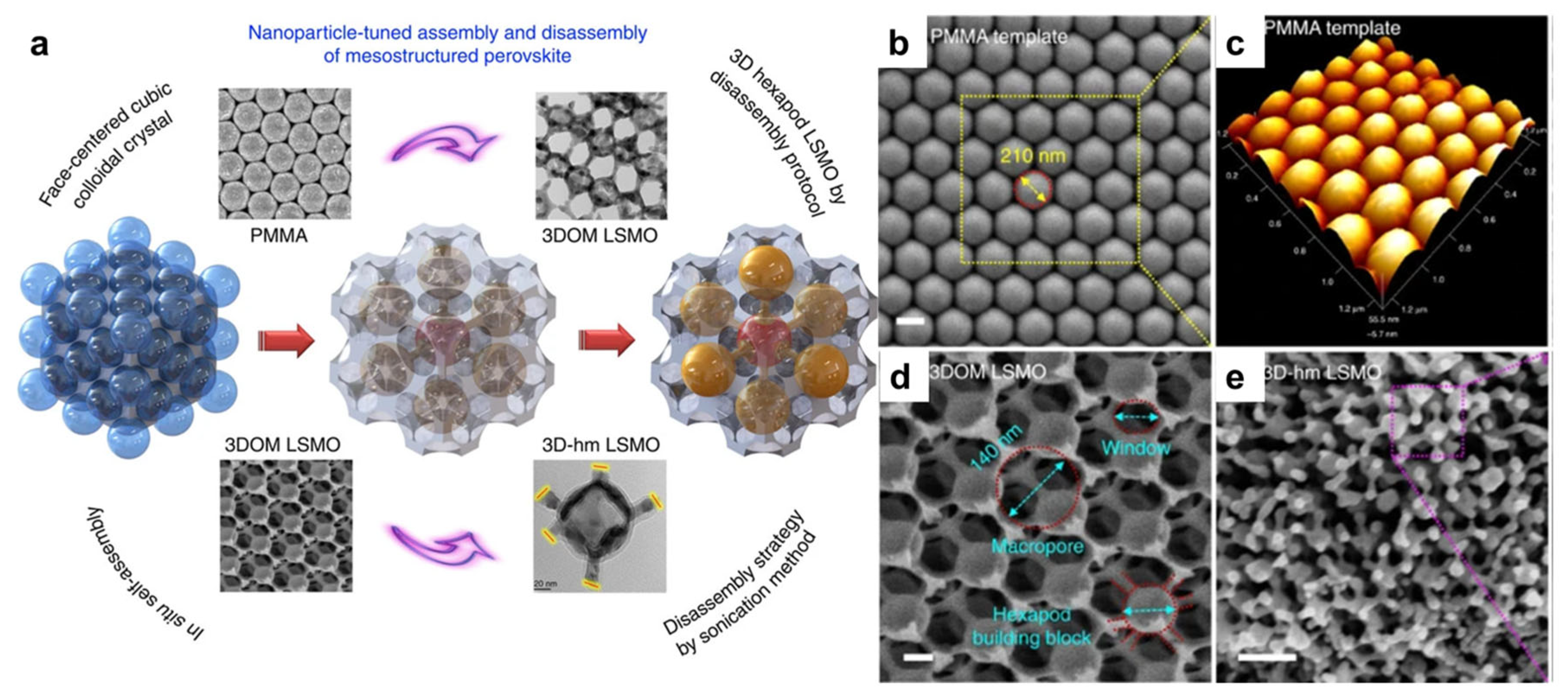 Nanomaterials 15 00472 g003