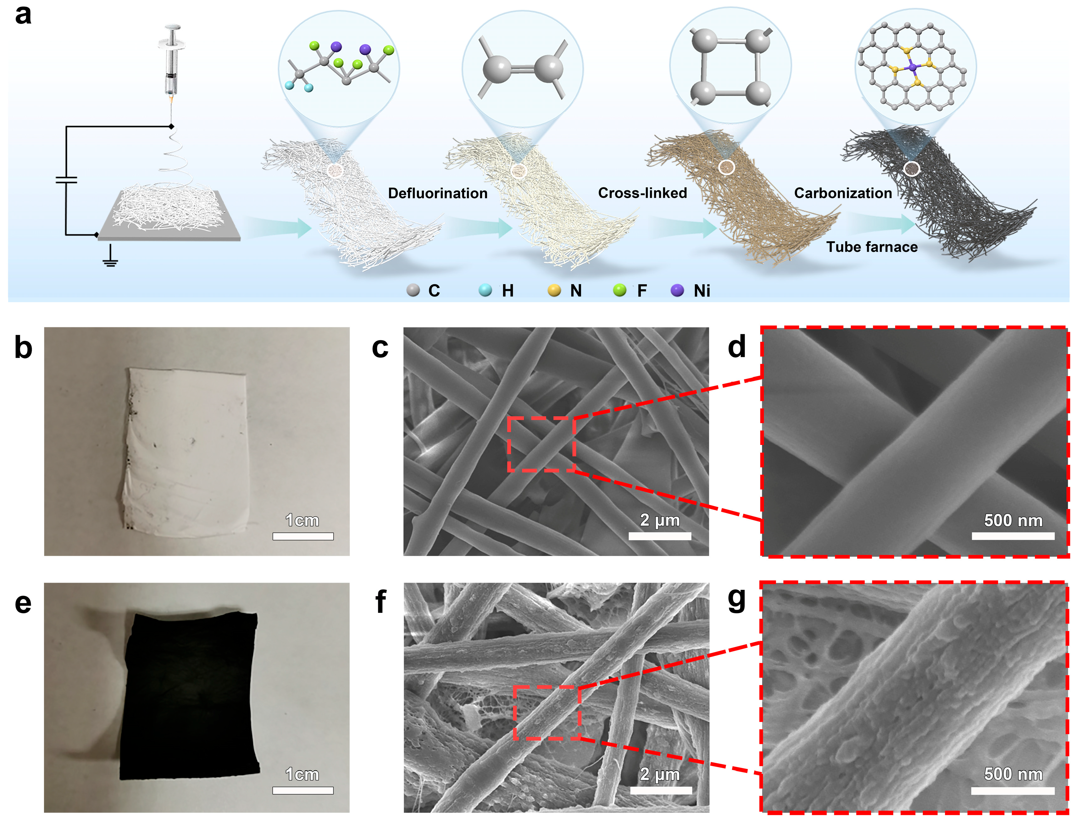 Nanomaterials 15 00473 g001
